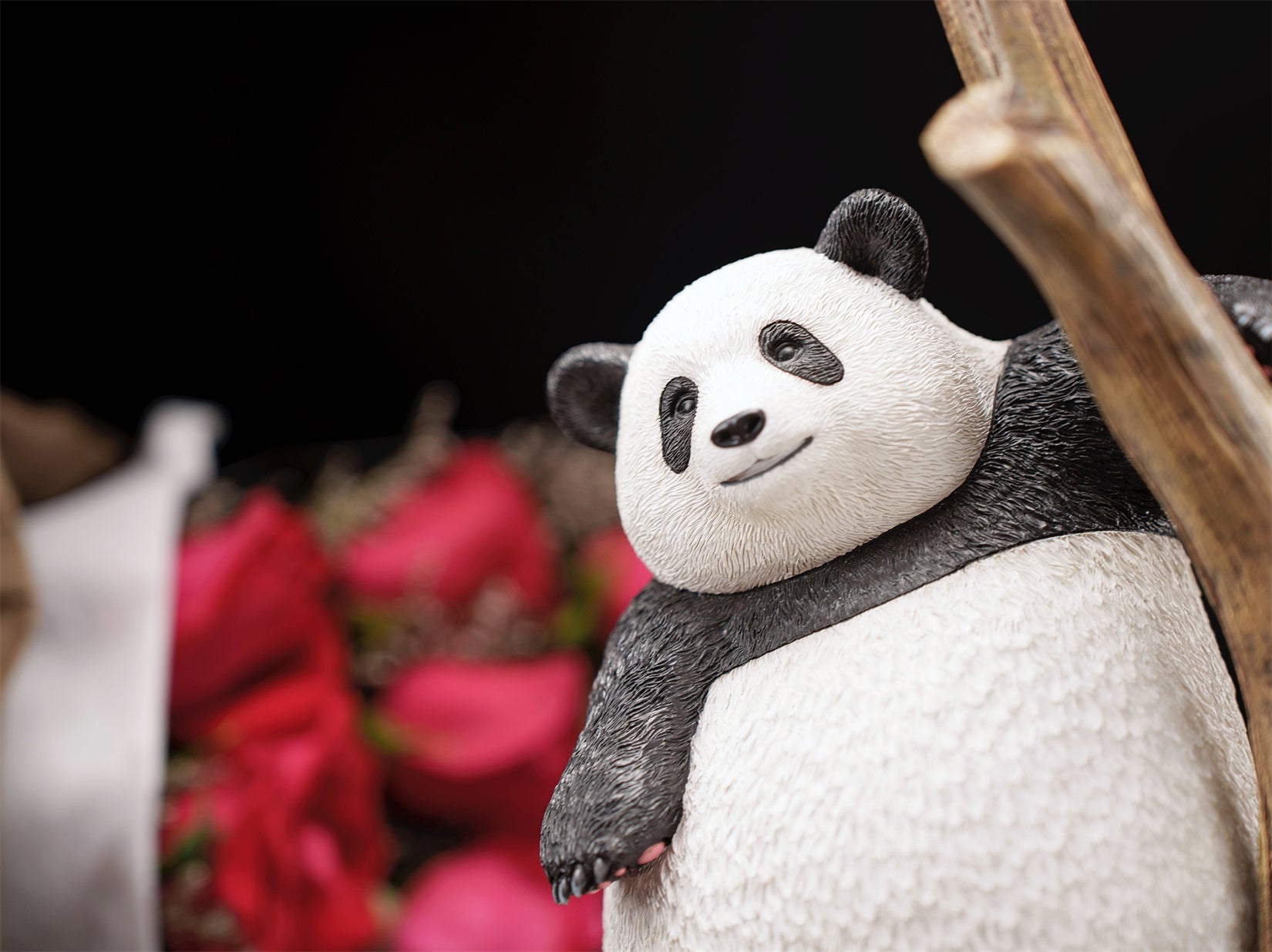 Schildkröten-Serie Tiermodell