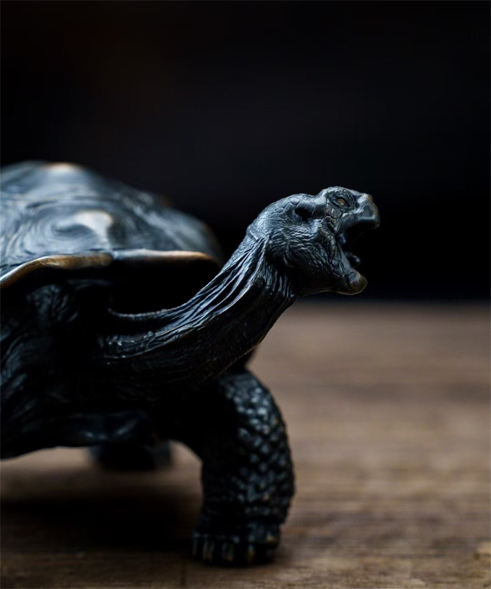 BOWUZHI Studio Chelonoidis Niger Model