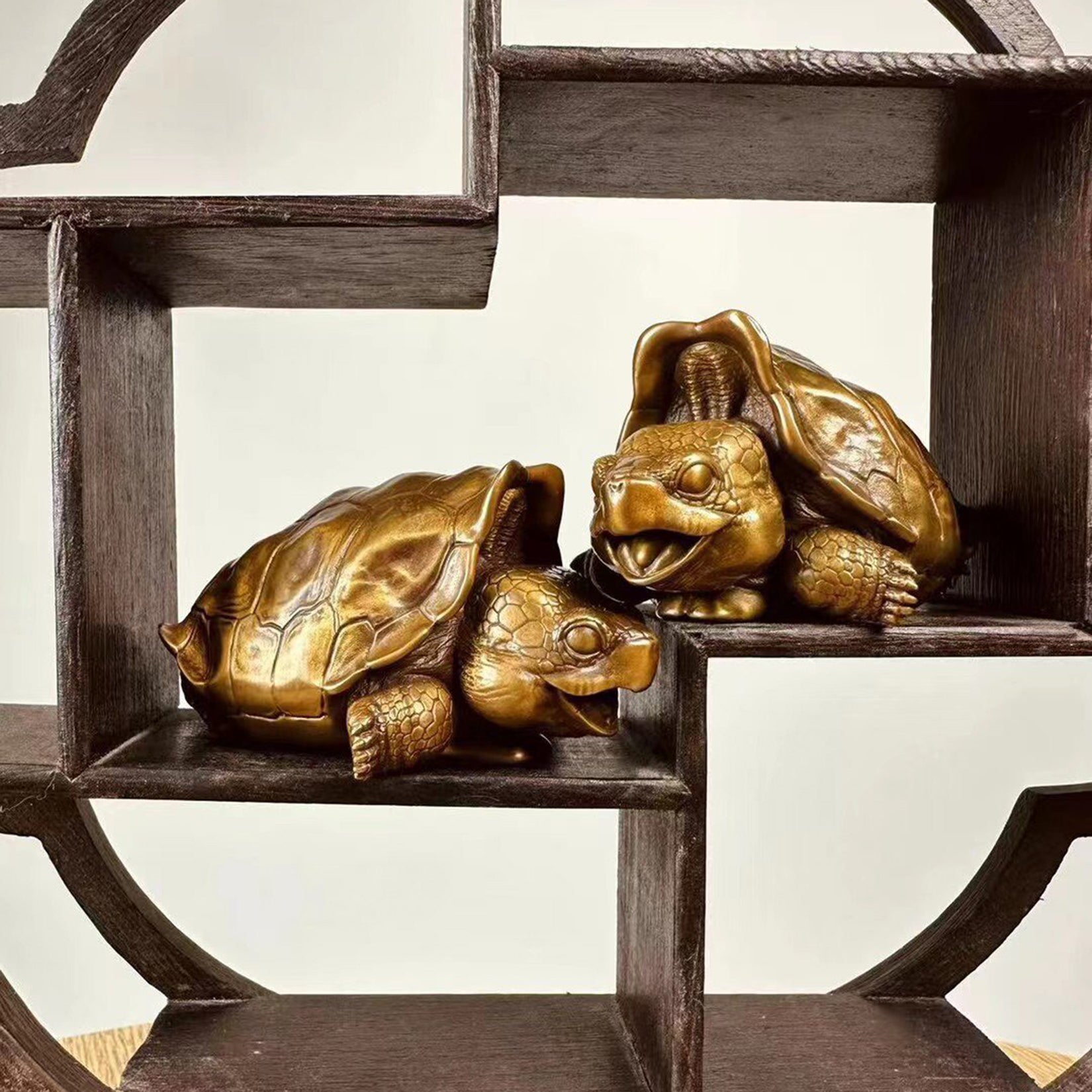BOWUZHI Studio Chelonoidis Niger Bronze Model