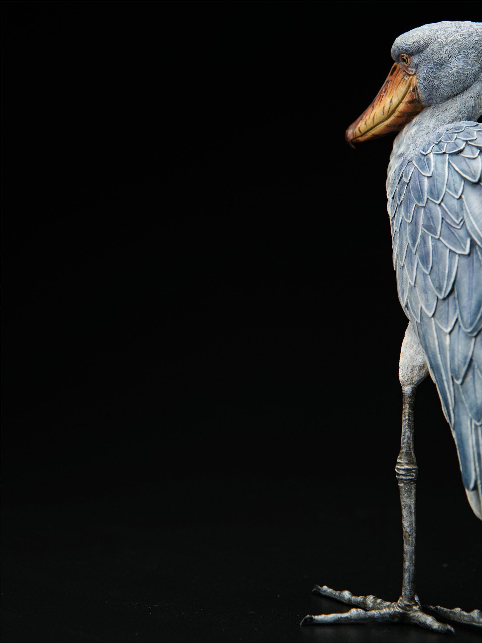 Shoebill Model