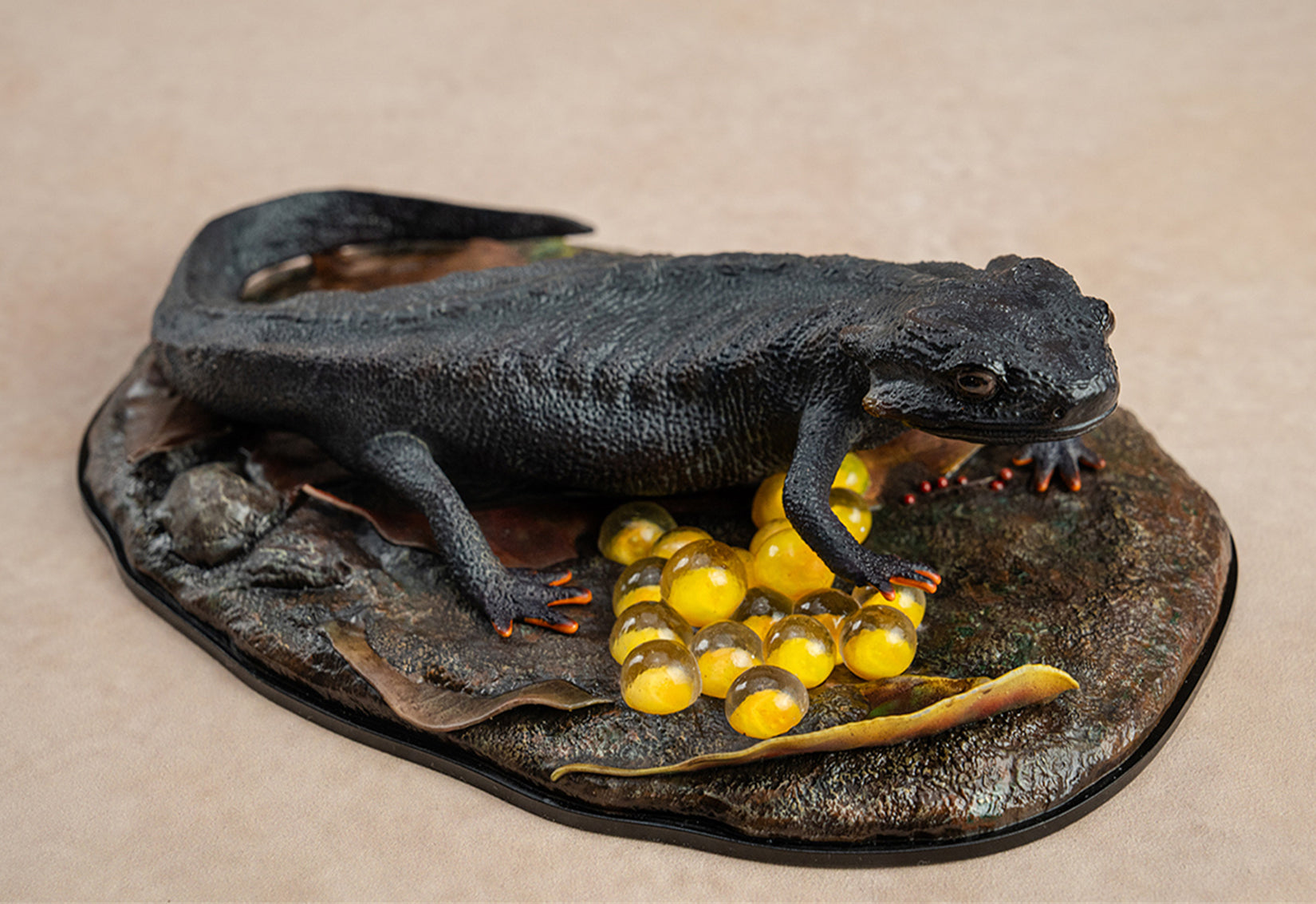 Echinotriton Chinhaiensis Model