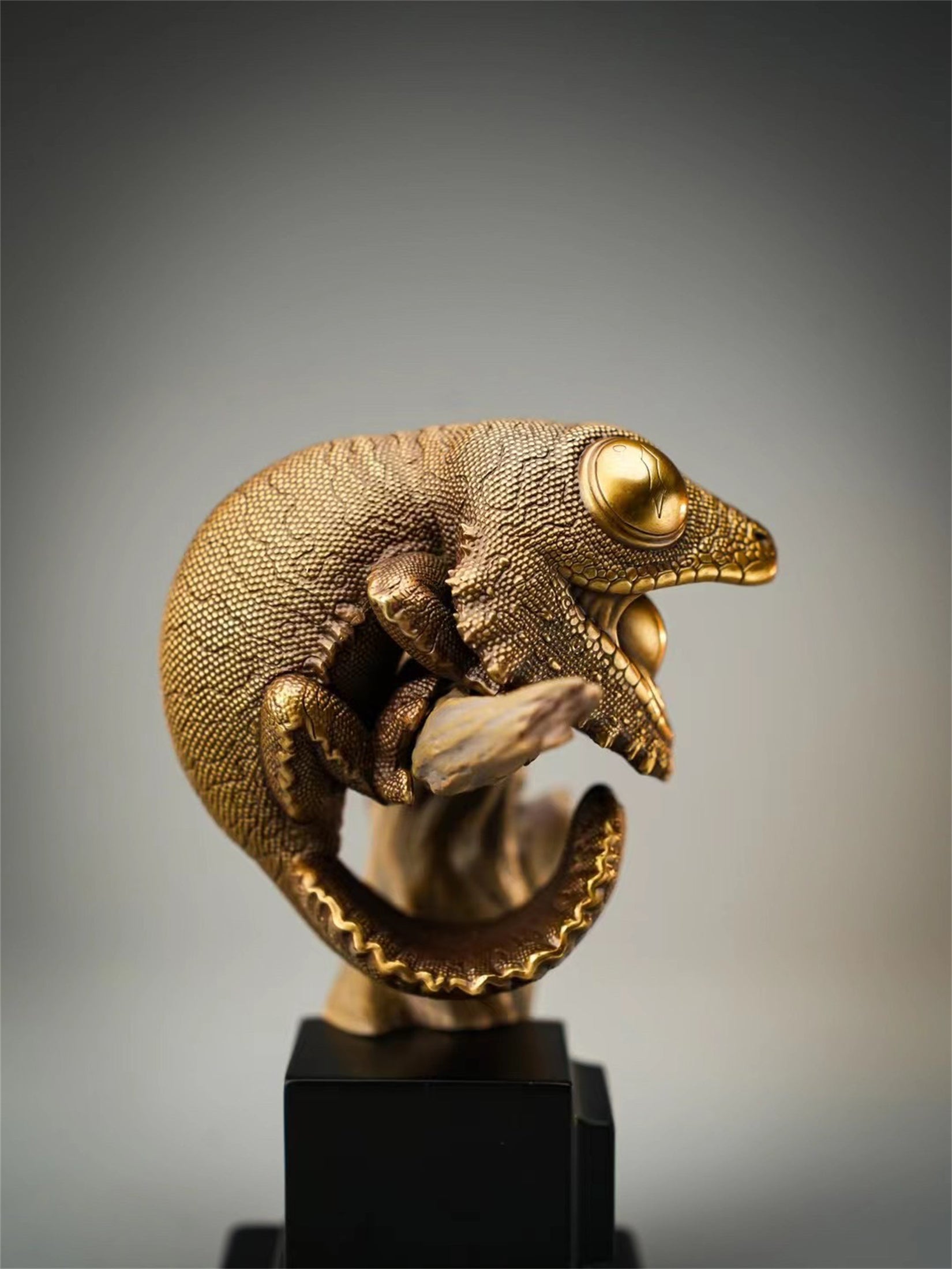 Schildkröten-Serie Tiermodell