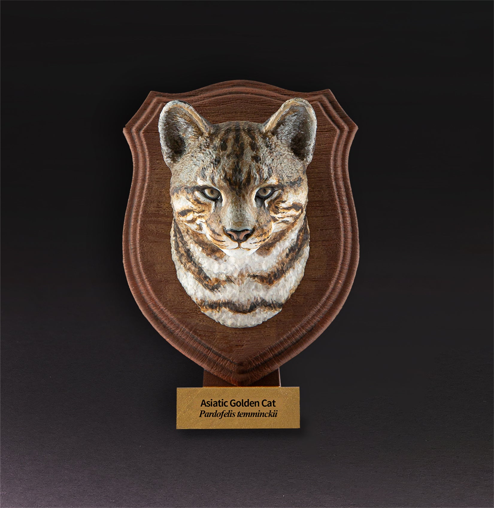 Animal Planet World Encyclopedia Of Animals