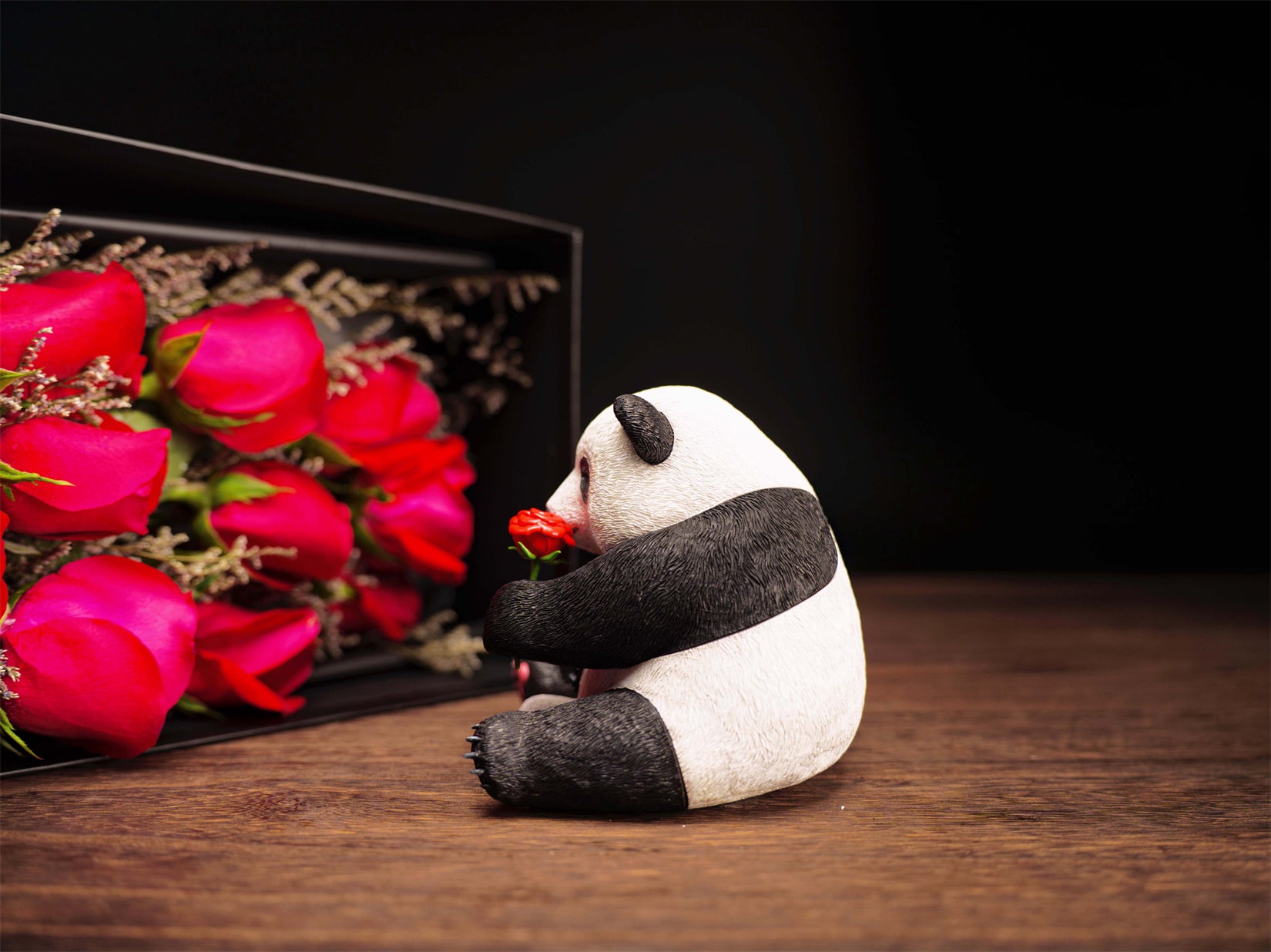 Schildkröten-Serie Tiermodell