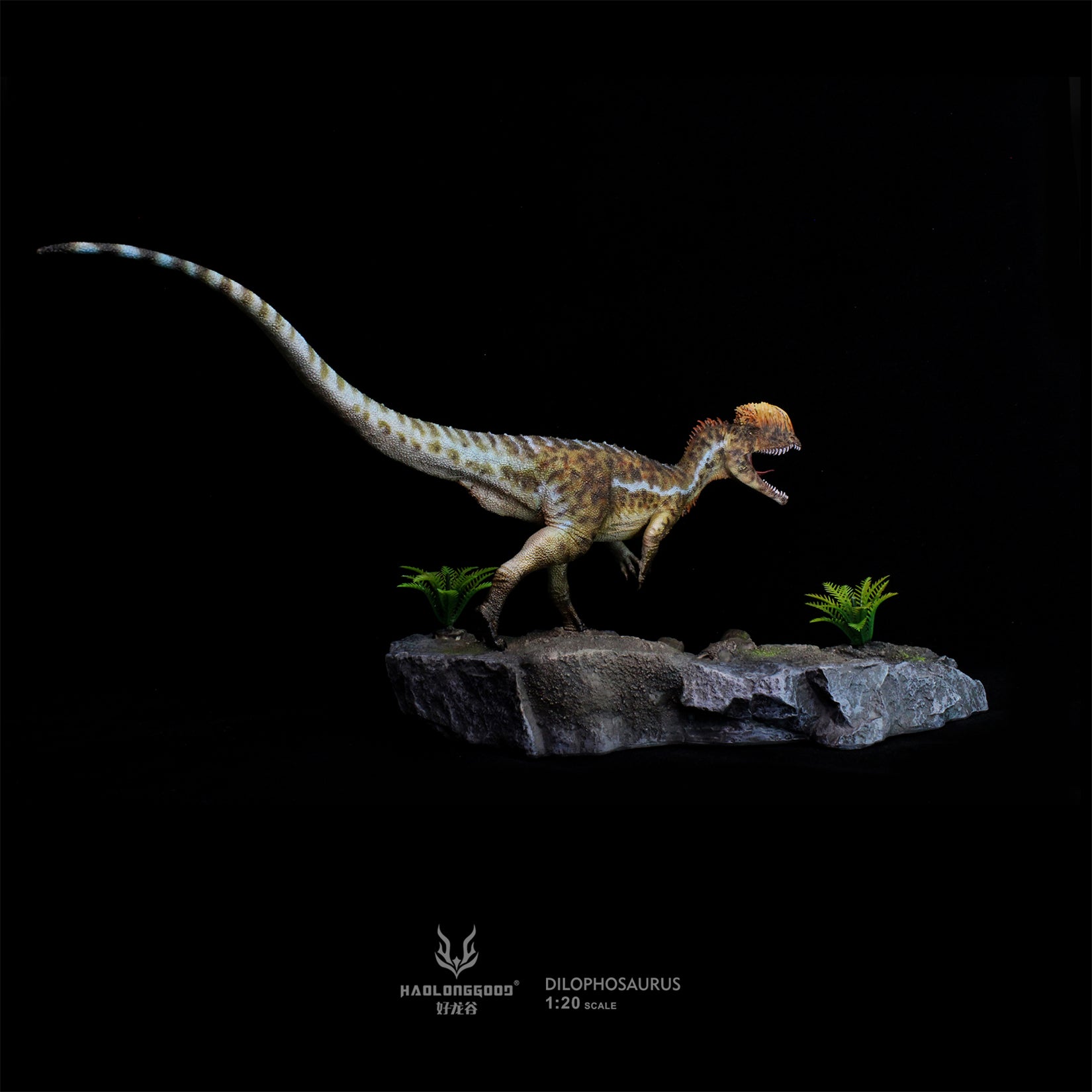 HAOLONGGOOD 1:20 Scale Dilophosaurus Pair Model