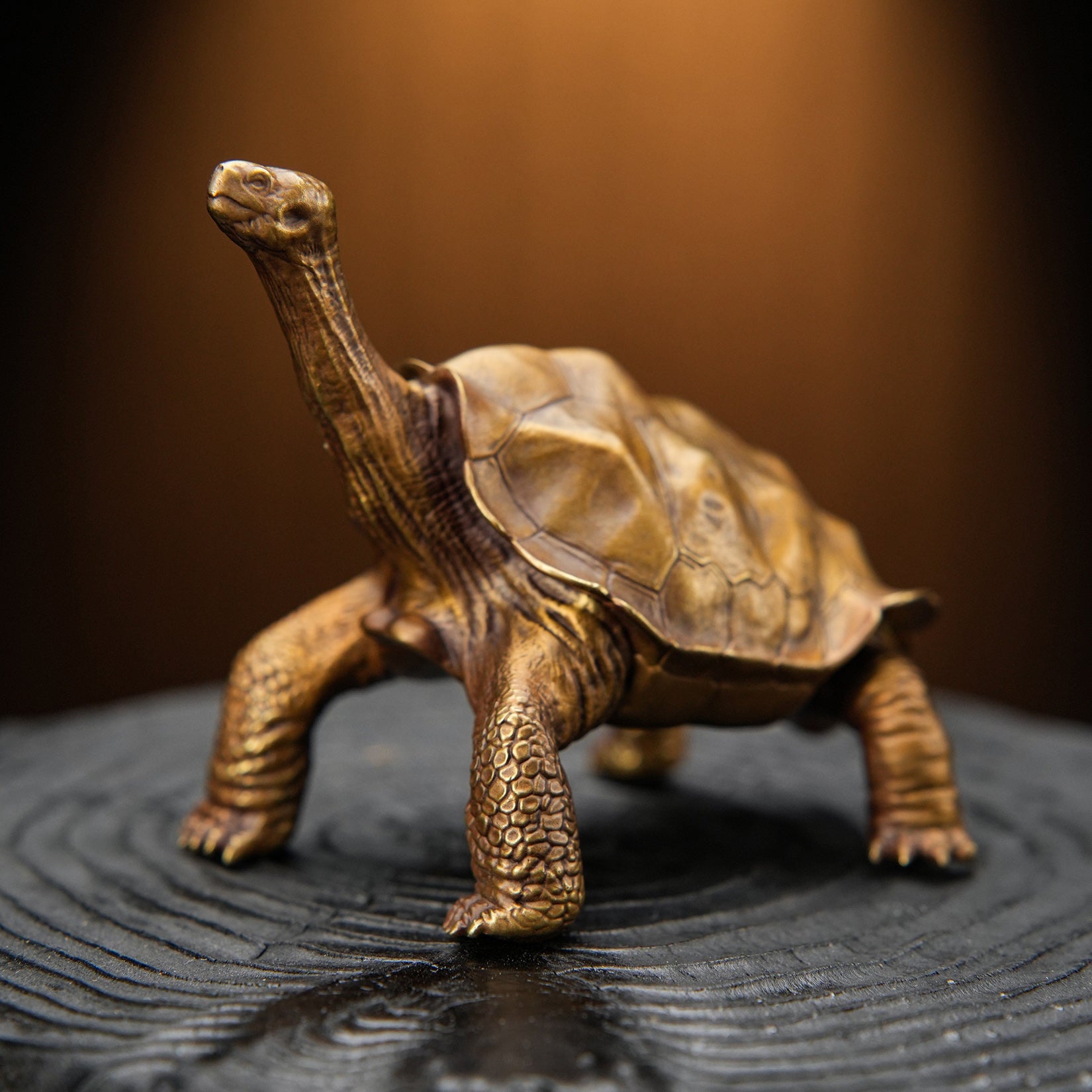 BOWUZHI Studio Galapagos Giant Tortoise Figure