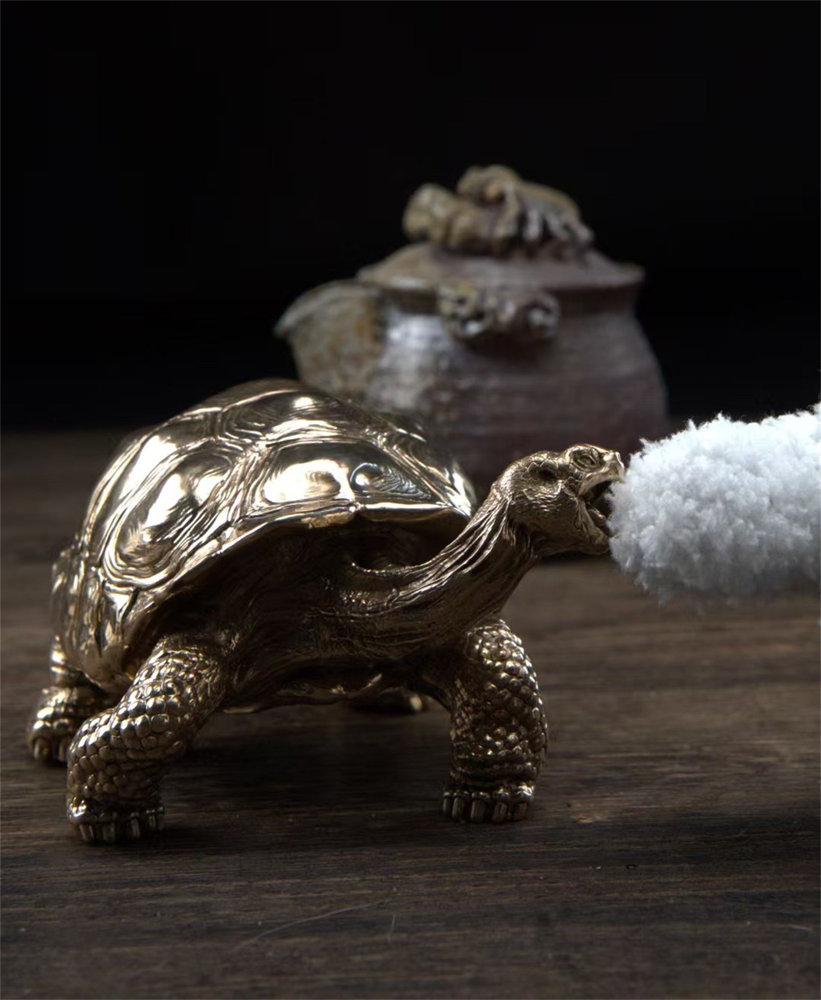 BOWUZHI Studio Chelonoidis Niger Model