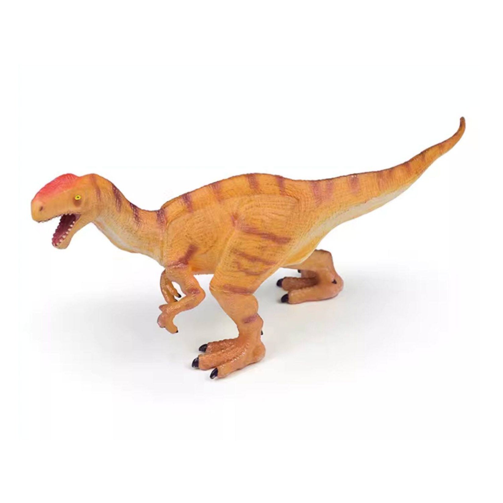 RECUR Monolophosaurus Model