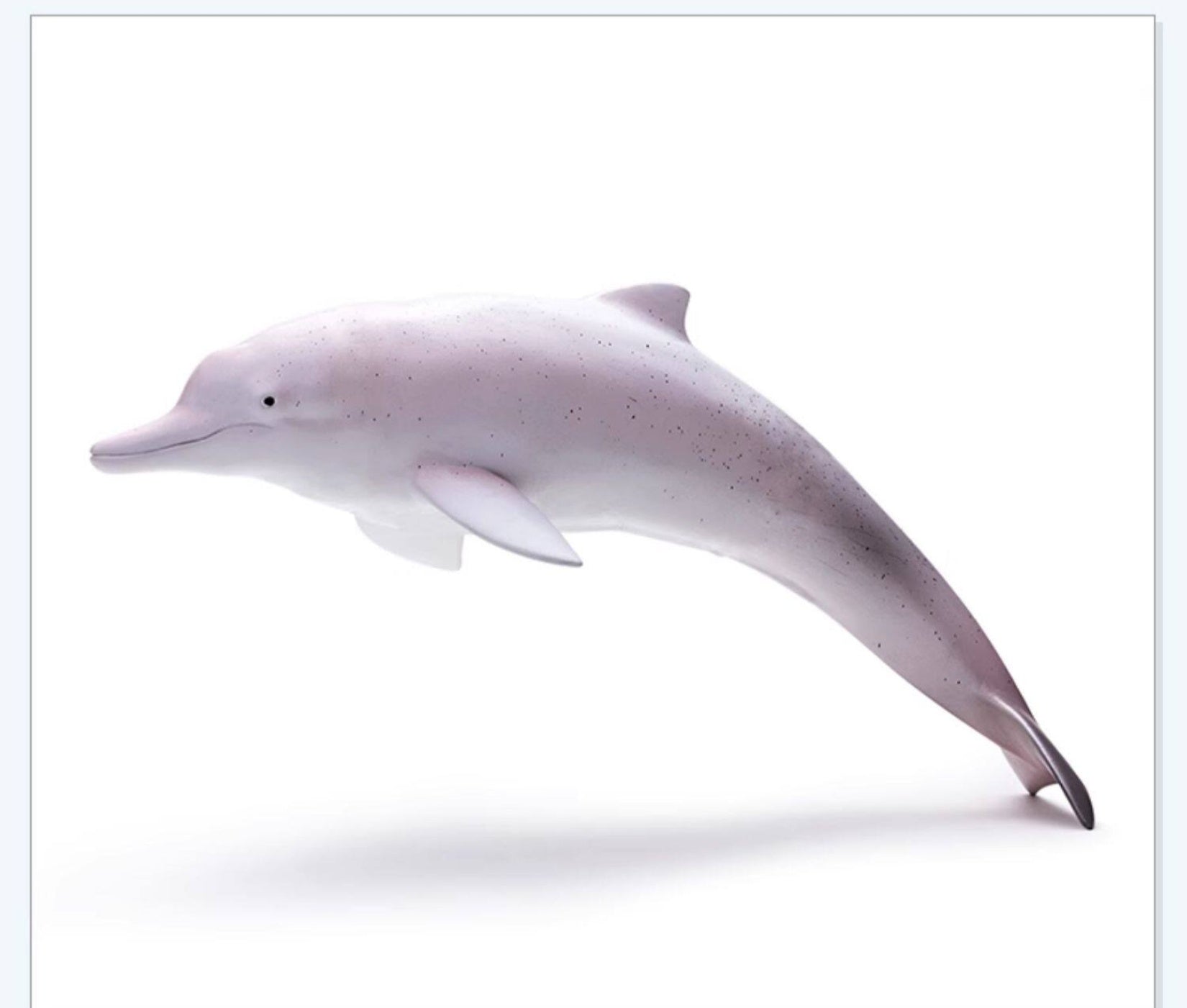 RECUR Dolphin Model Marine Animal