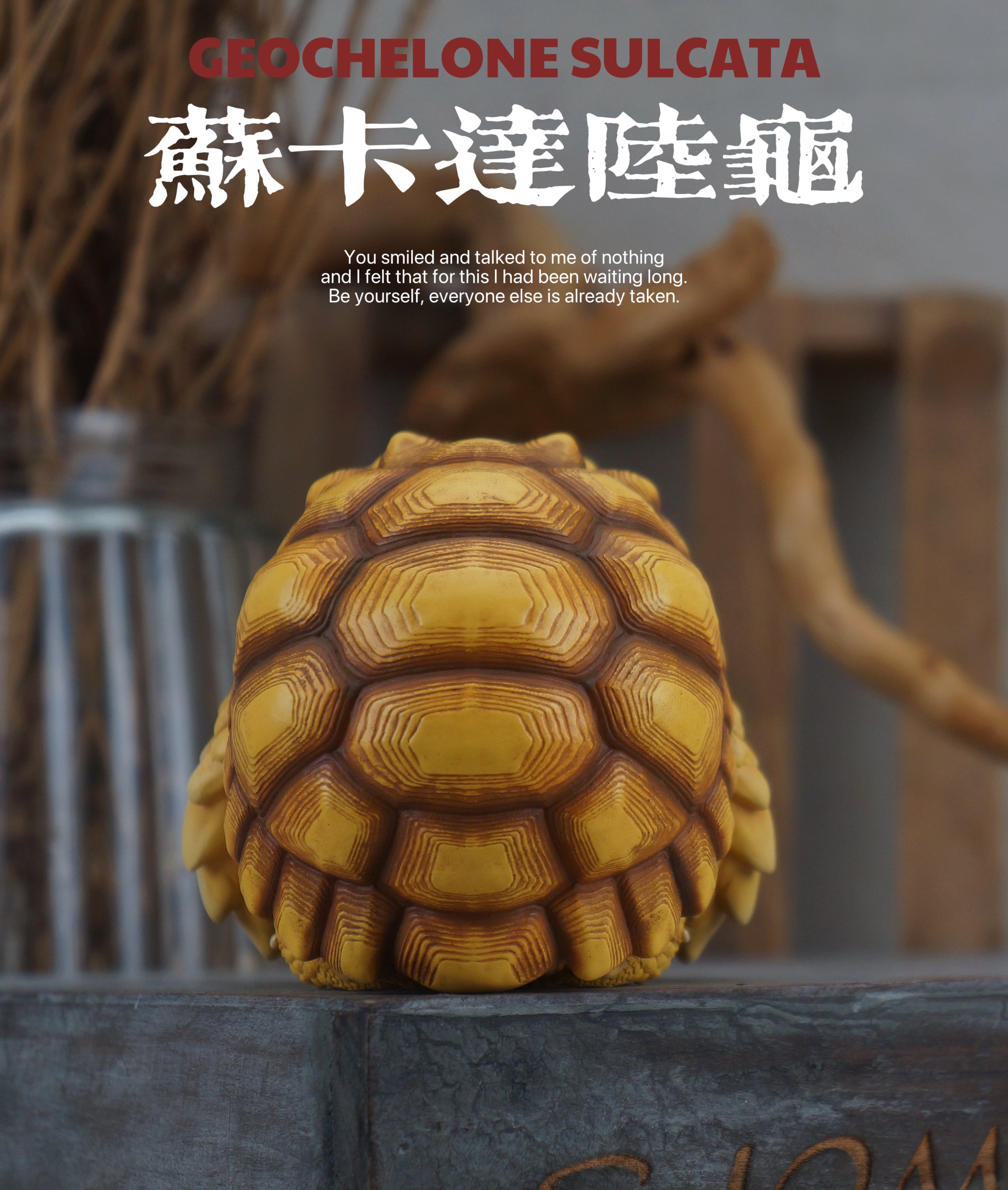 Turtle Model Pet Animal Figure