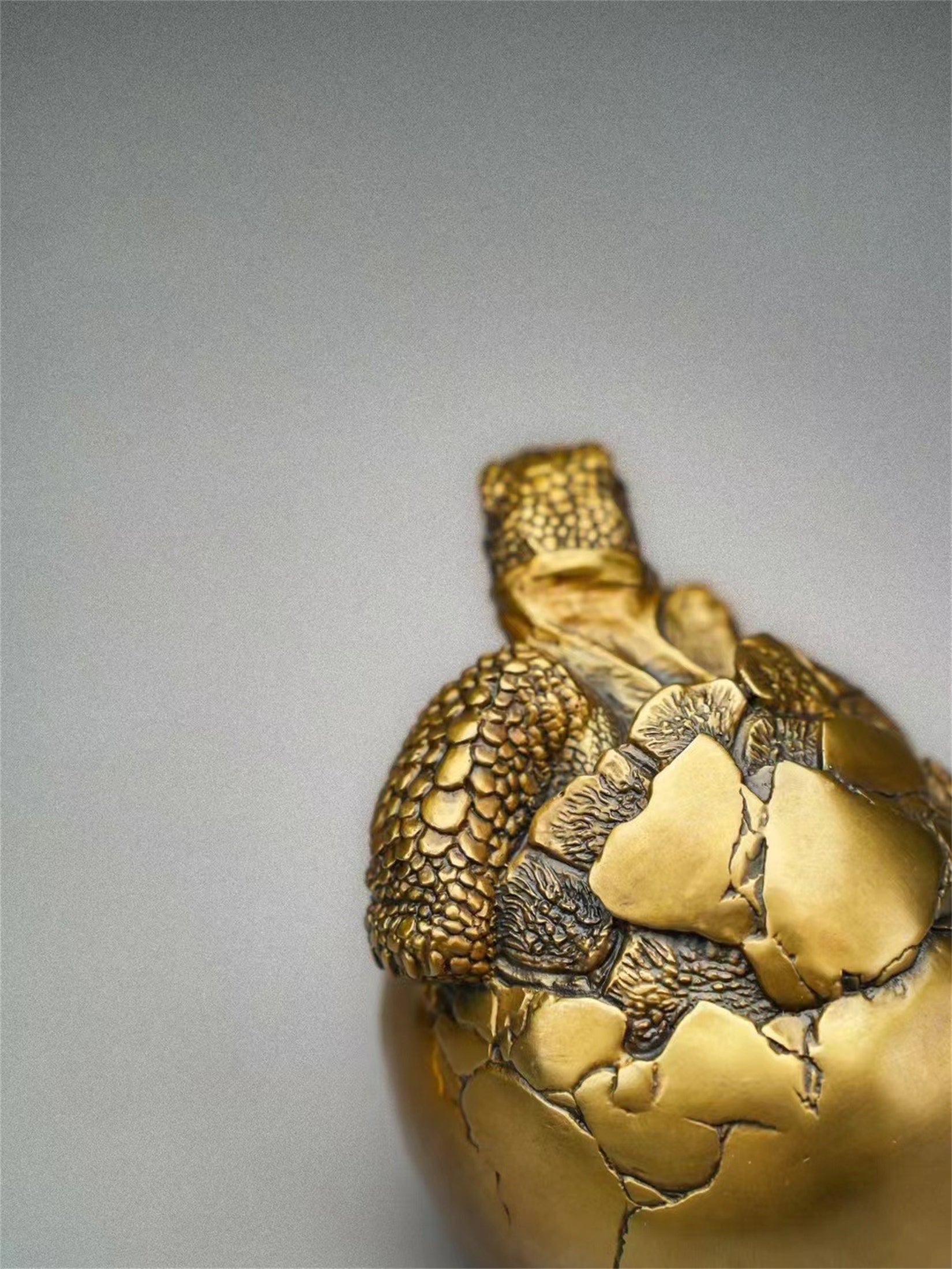 Schildkröten-Serie Tiermodell