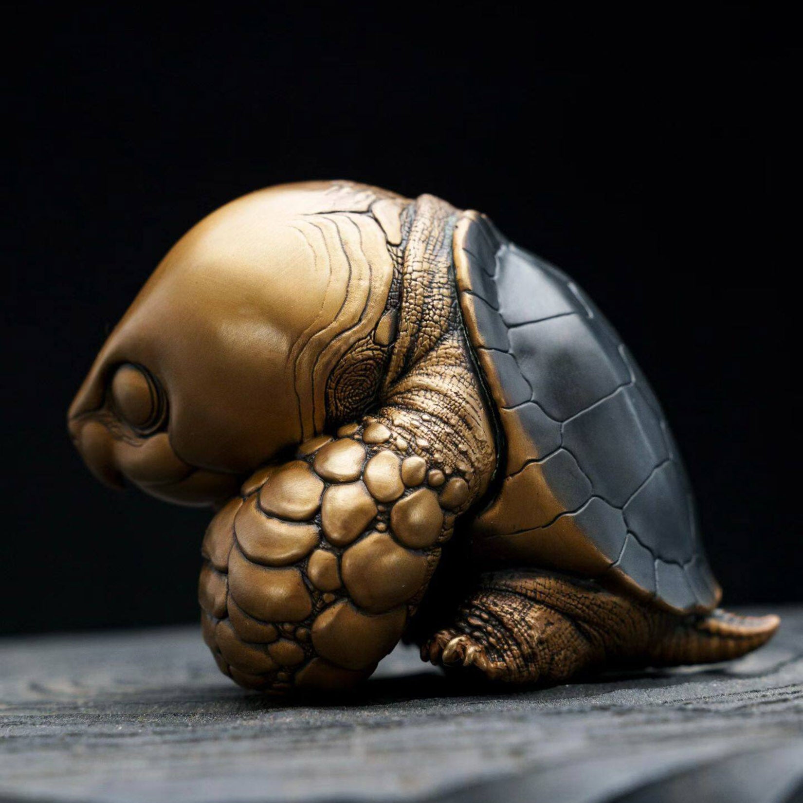 BOWUZHI Studio Bronze Turtle Series Model