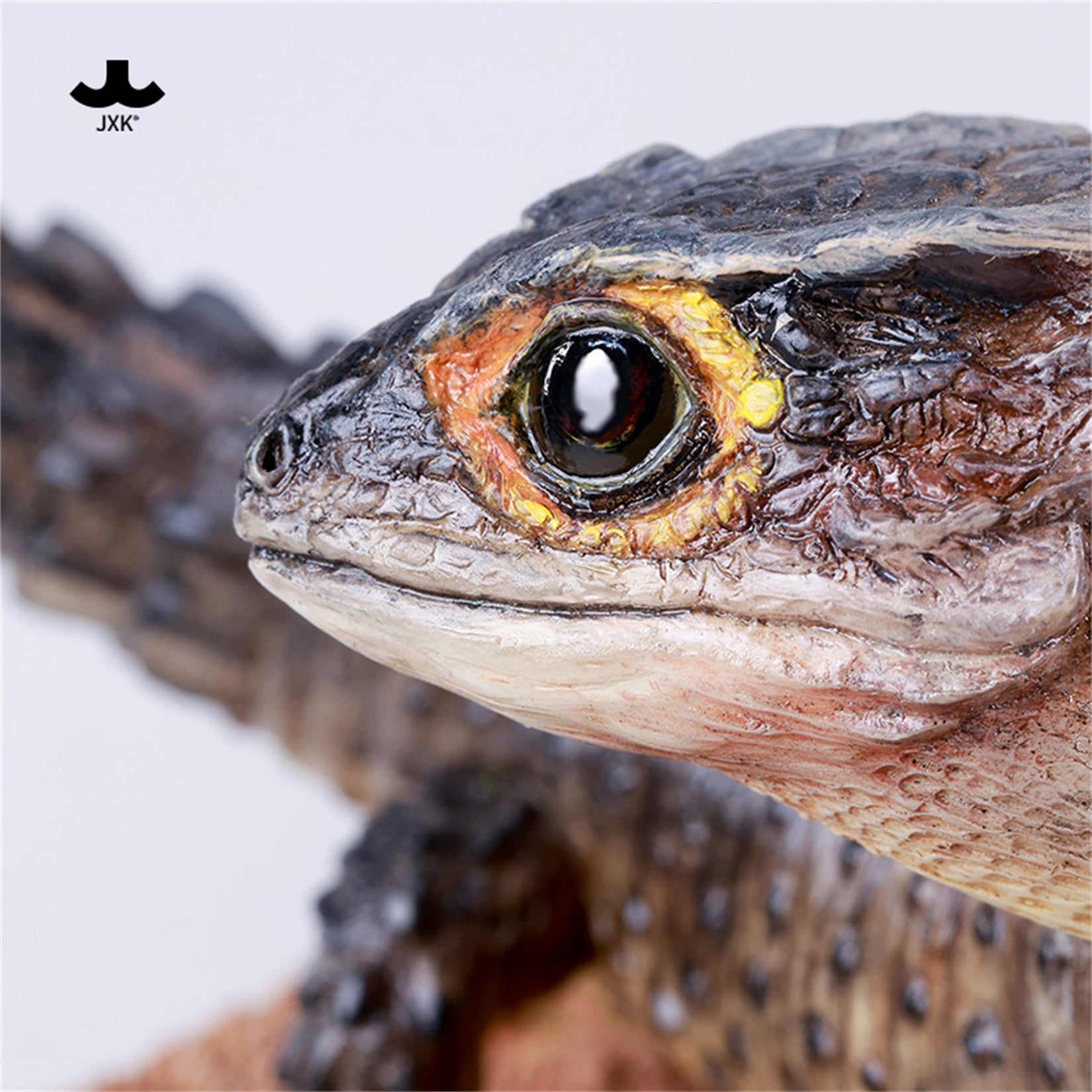 JXK Studio Tribolonotus gracilis Model