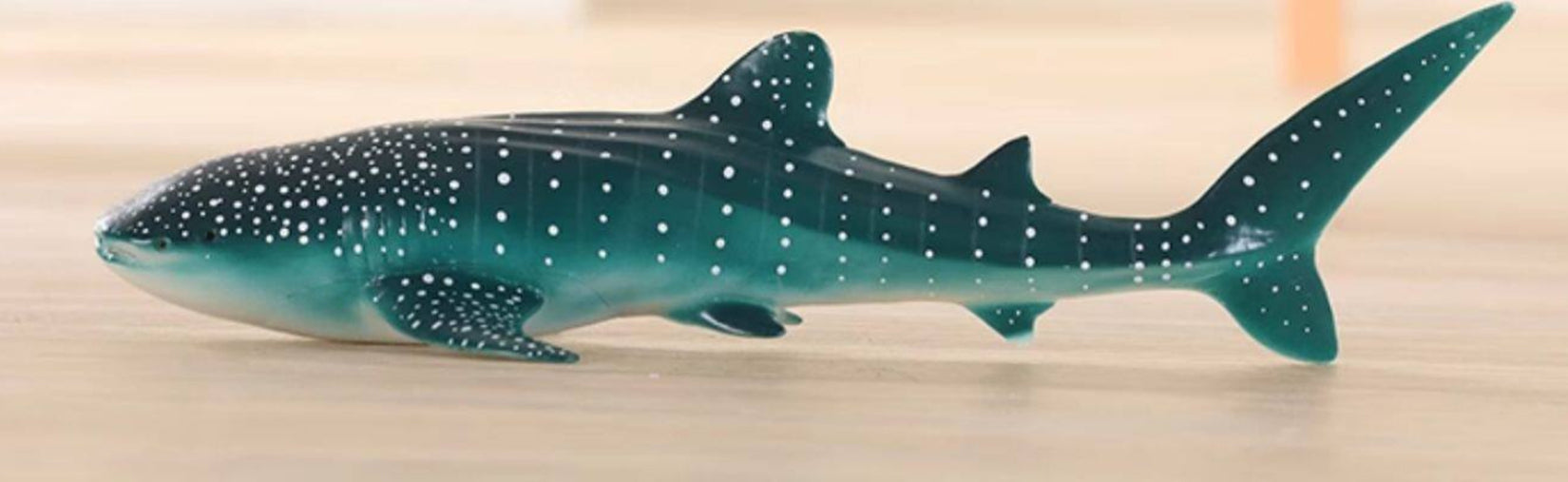 RECUR Whale Shark Model