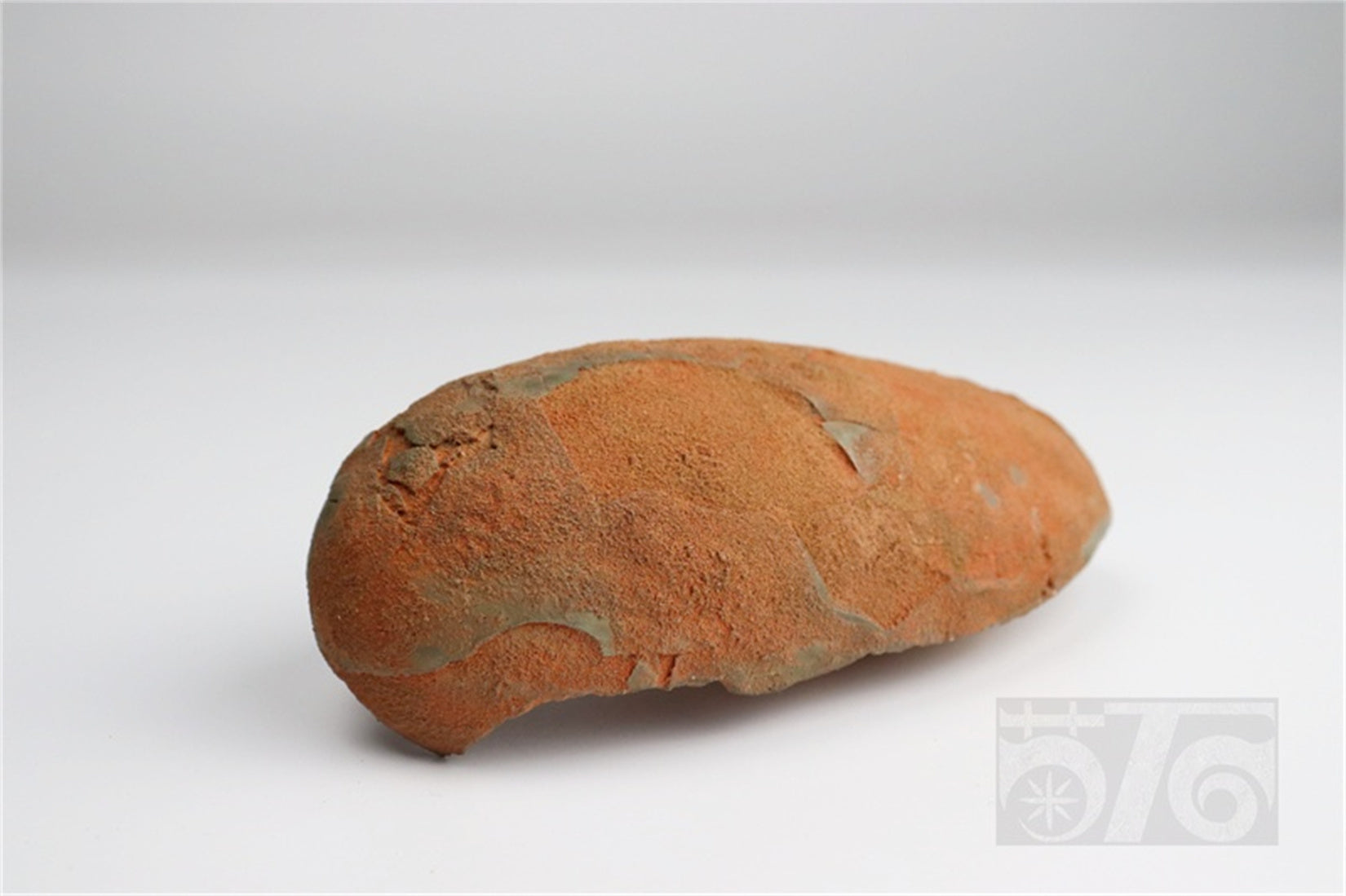 1:1 Scale Velociraptor Dinosaur Egg Model