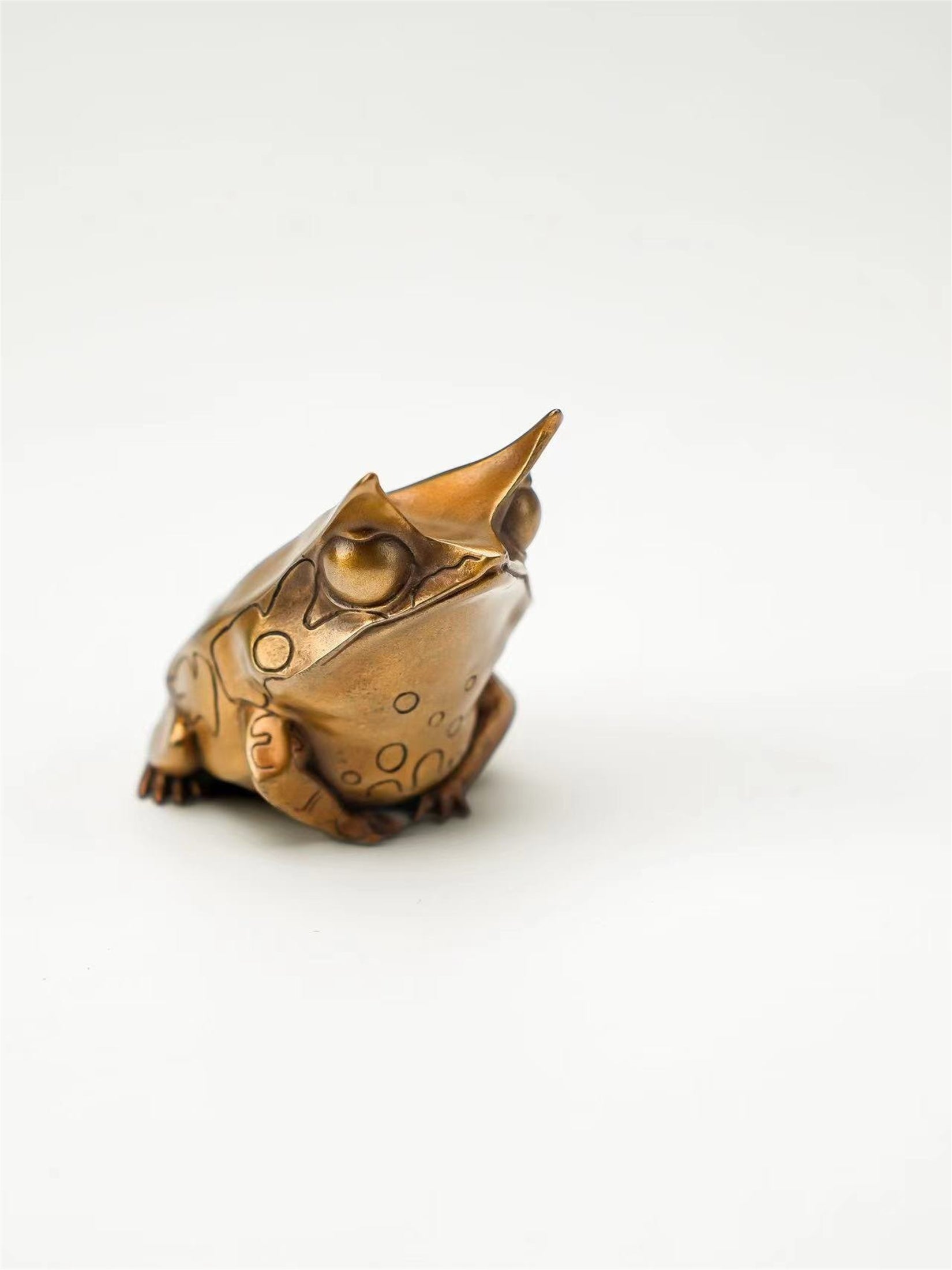 Schildkröten-Serie Tiermodell