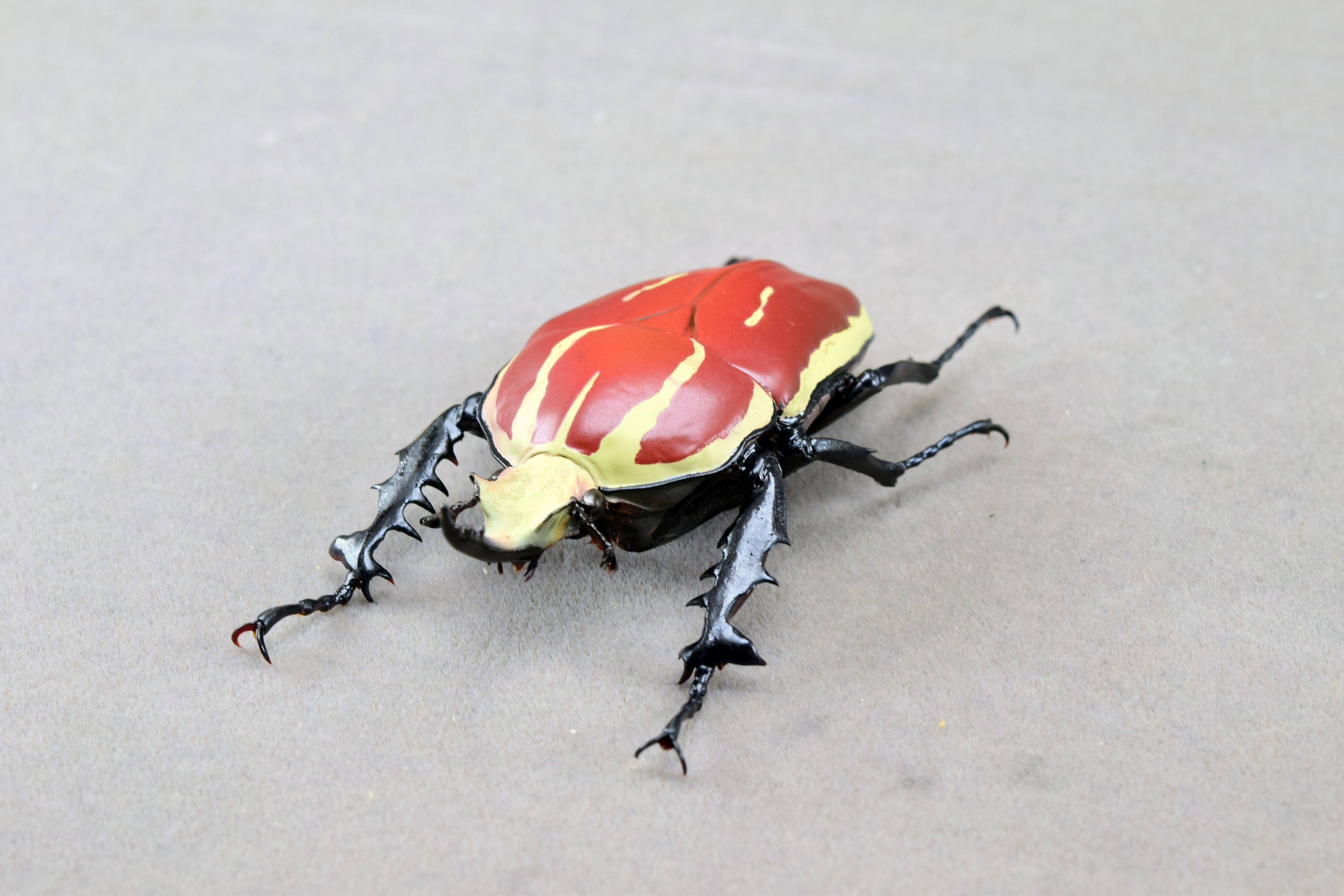 Wunderschöne Chemiepuppe im Maßstab 1:6