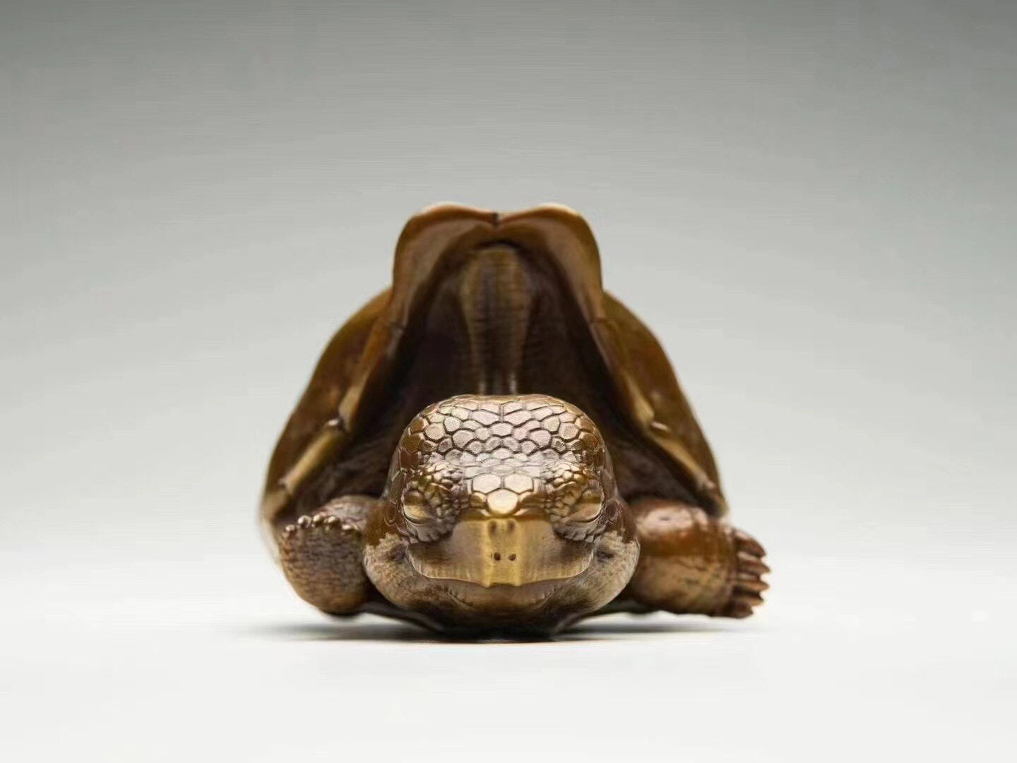 BOWUZHI Studio Galápagos Giant Tortoise Bronze Model