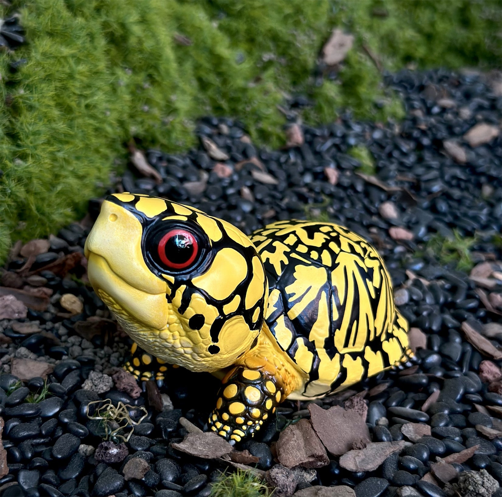 BOWUZHI STUDIO Terrapene Box Turtle Model