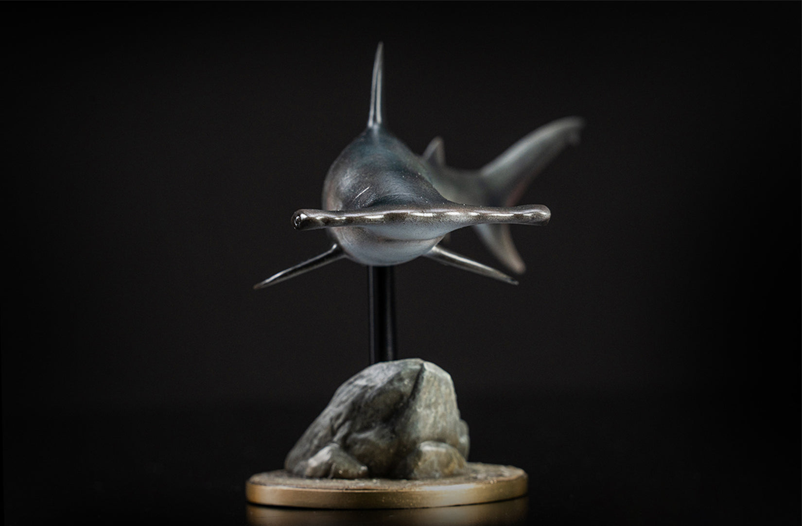 Great Hammerhead Model