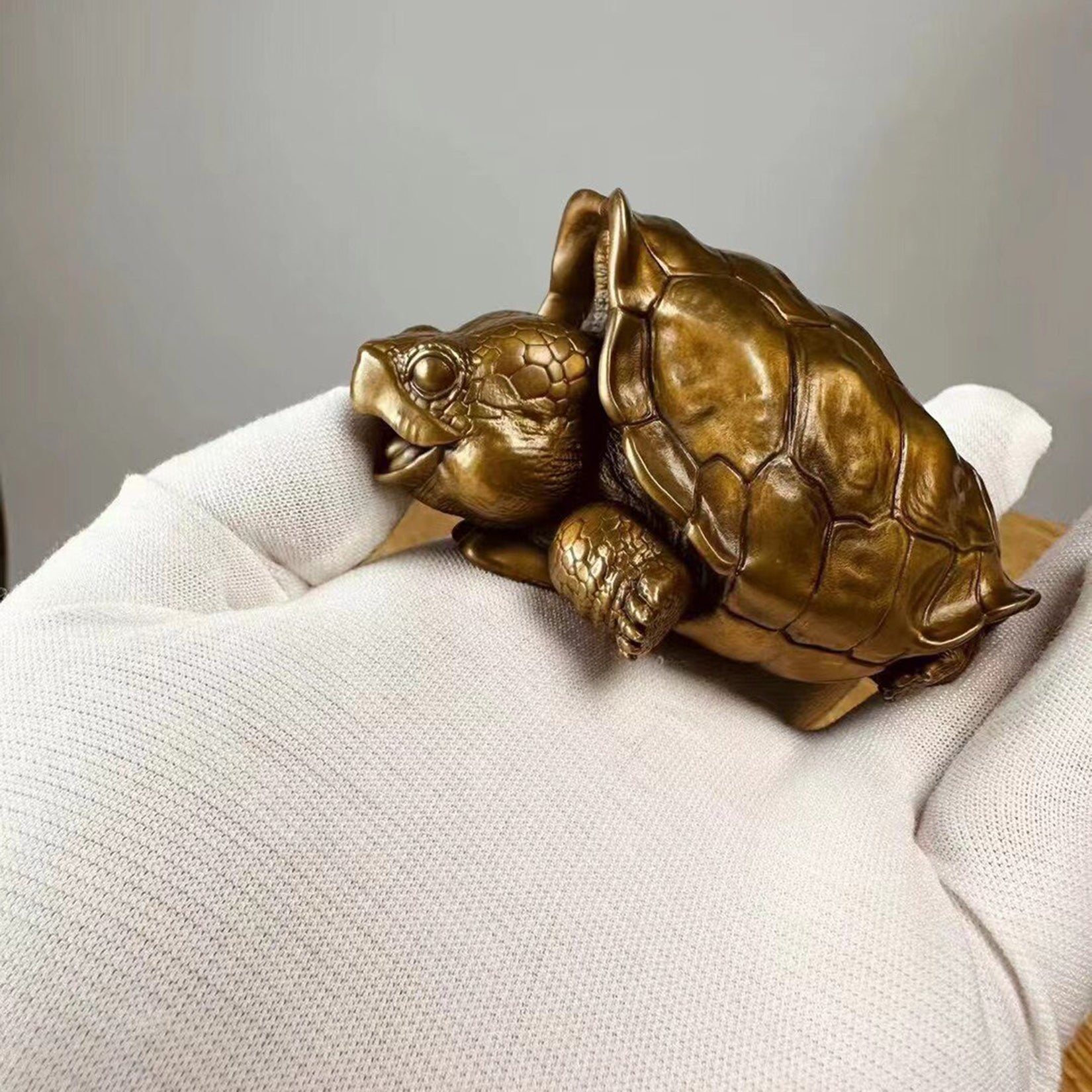 BOWUZHI Studio Chelonoidis Niger Bronze Model