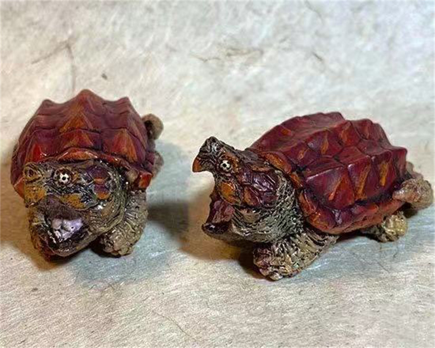 Schildkröten-Serie Tiermodell