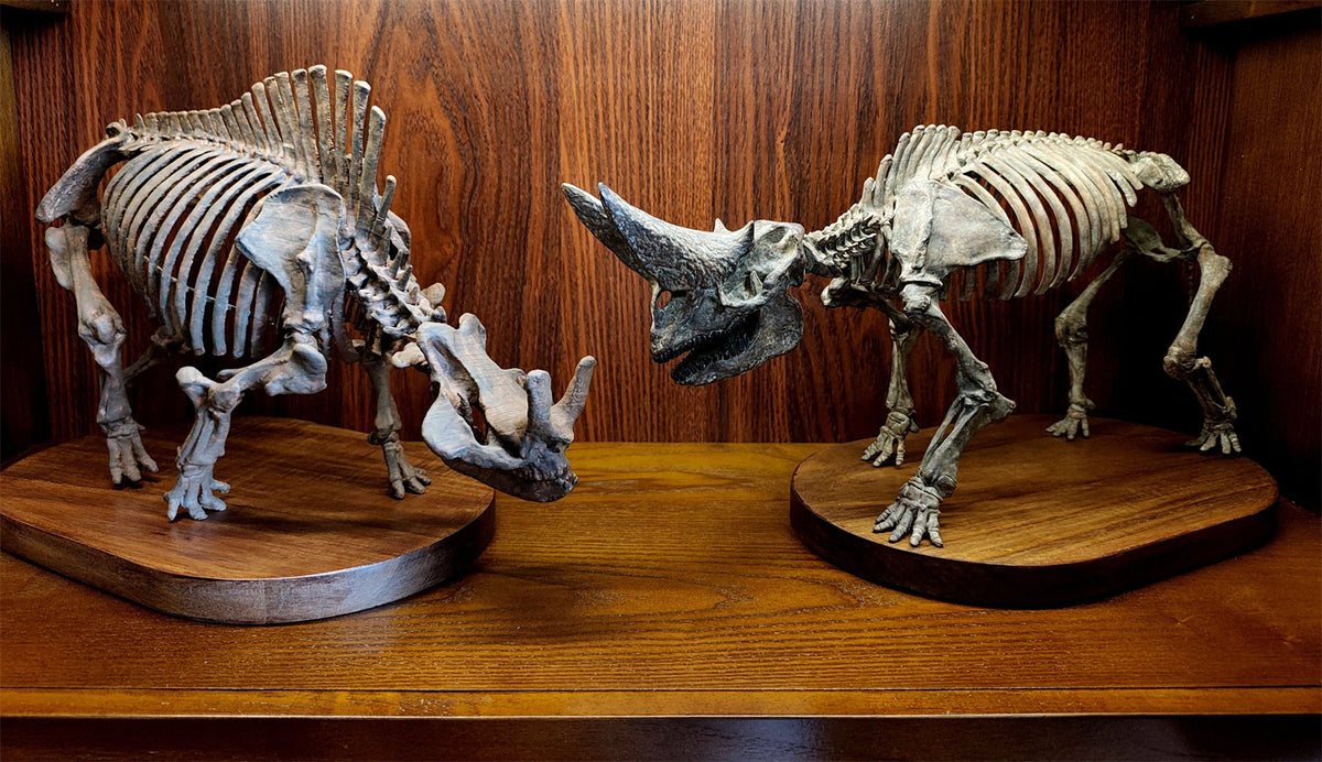 3D Printed 1:18 Scale Arsnoitherium Skeleton Model