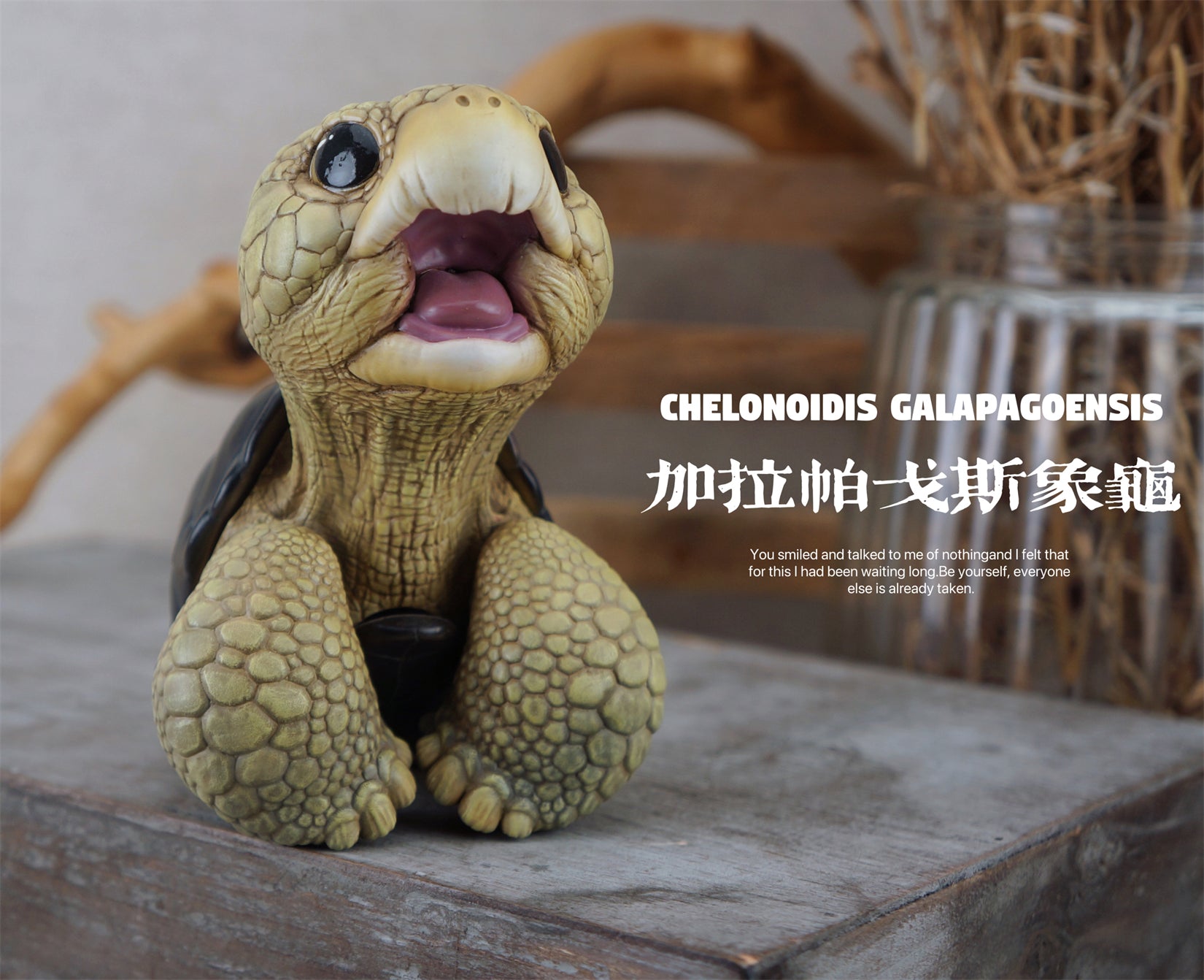 BOWUZHI Studio Geochelone Carbonaria & Chelonoidis Galapagoensis Model