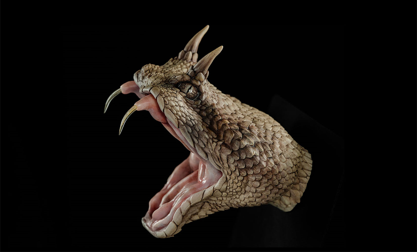 Cerastes Cornutus Snake Model