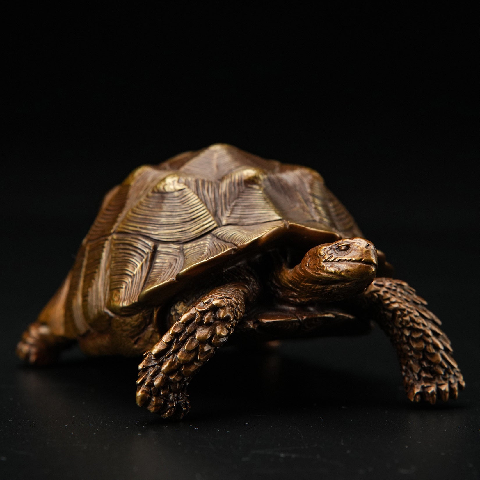 BOWUZHI Studio Sahel Tortoise Bronze Edition Model