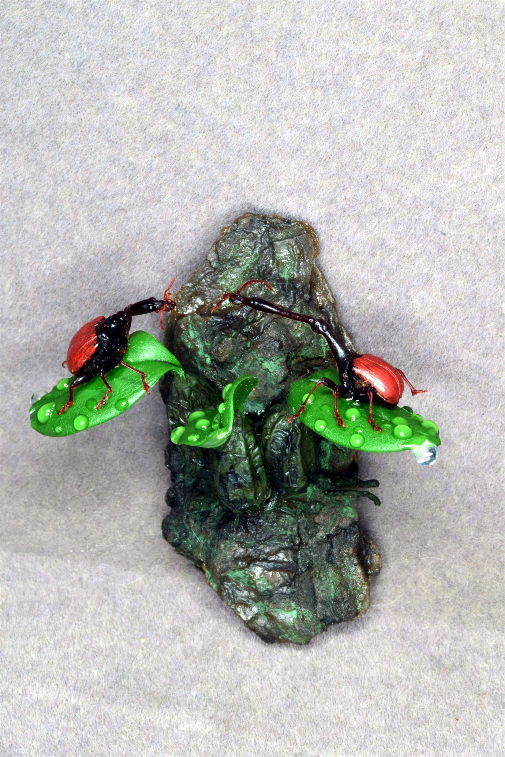 Trachelophorus Giraffa Insect Model