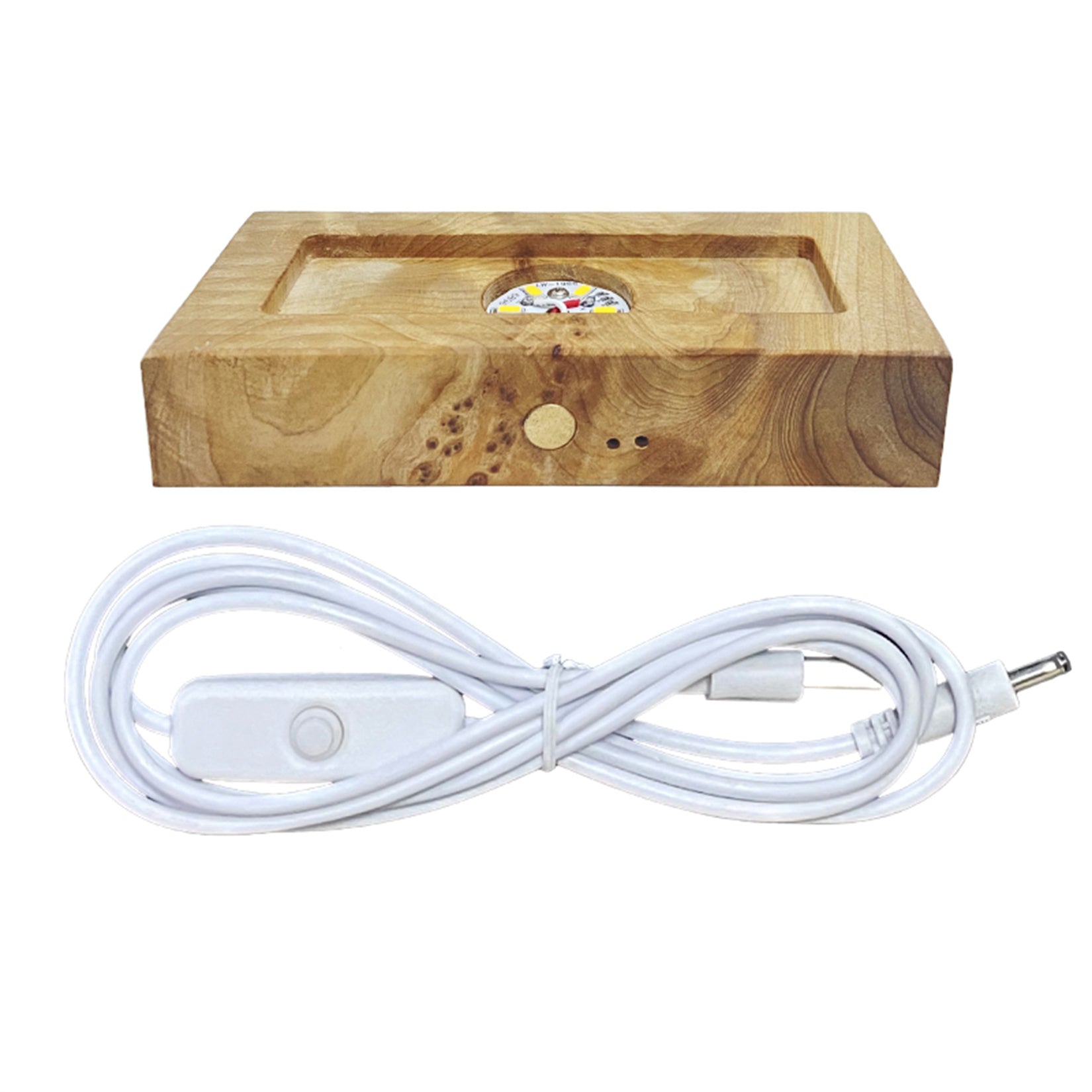 Water Jellyfish Devil Ray Ocean Art Ornament Mini Nightlight