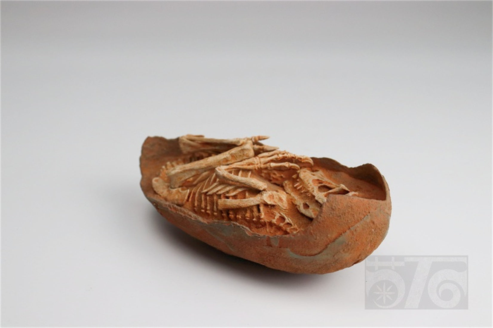 1:1 Scale Velociraptor Dinosaur Egg Model