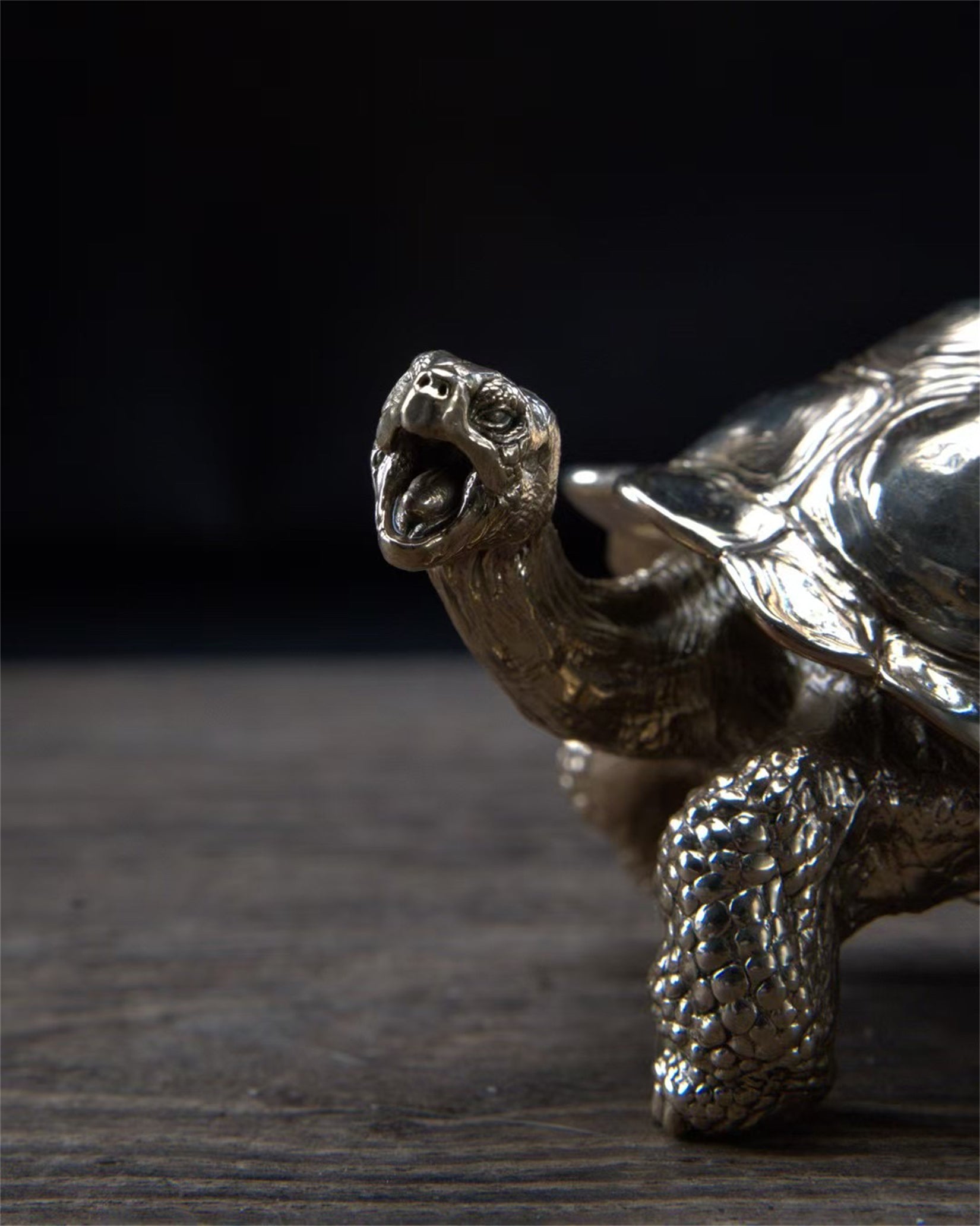 BOWUZHI Studio Chelonoidis Niger Model