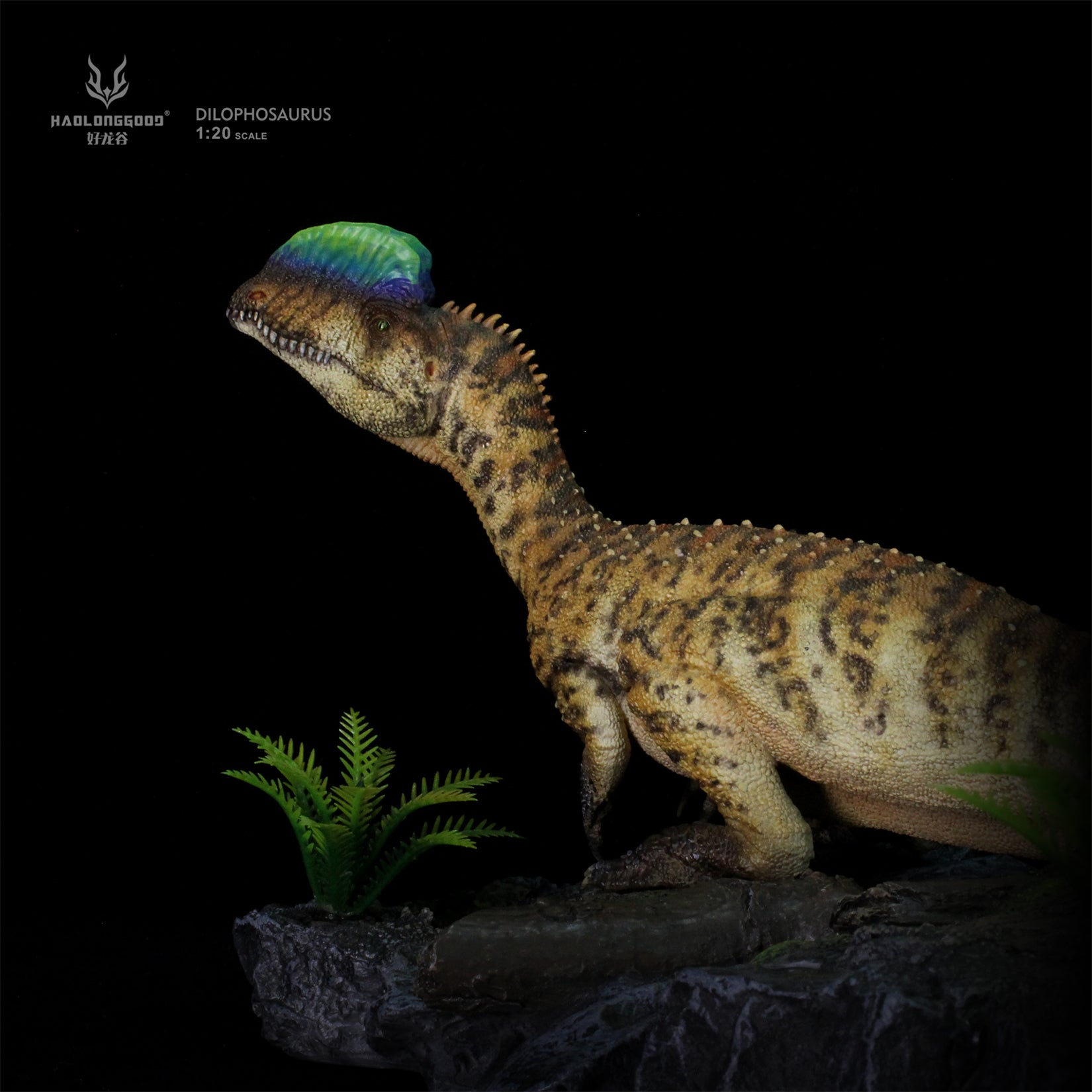 HAOLONGGOOD 1:20 Scale Dilophosaurus Pair Model