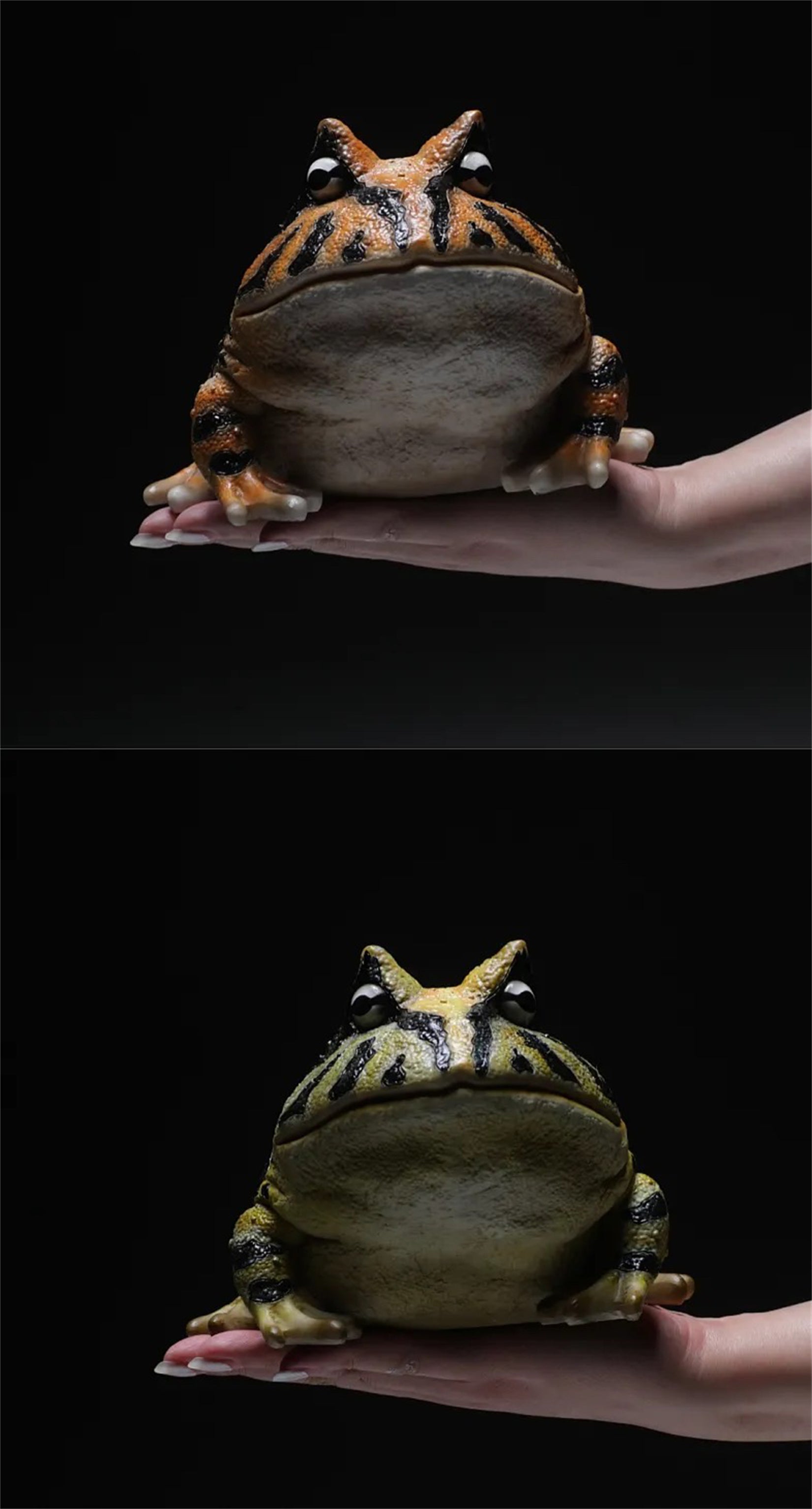 Schildkröten-Serie Tiermodell