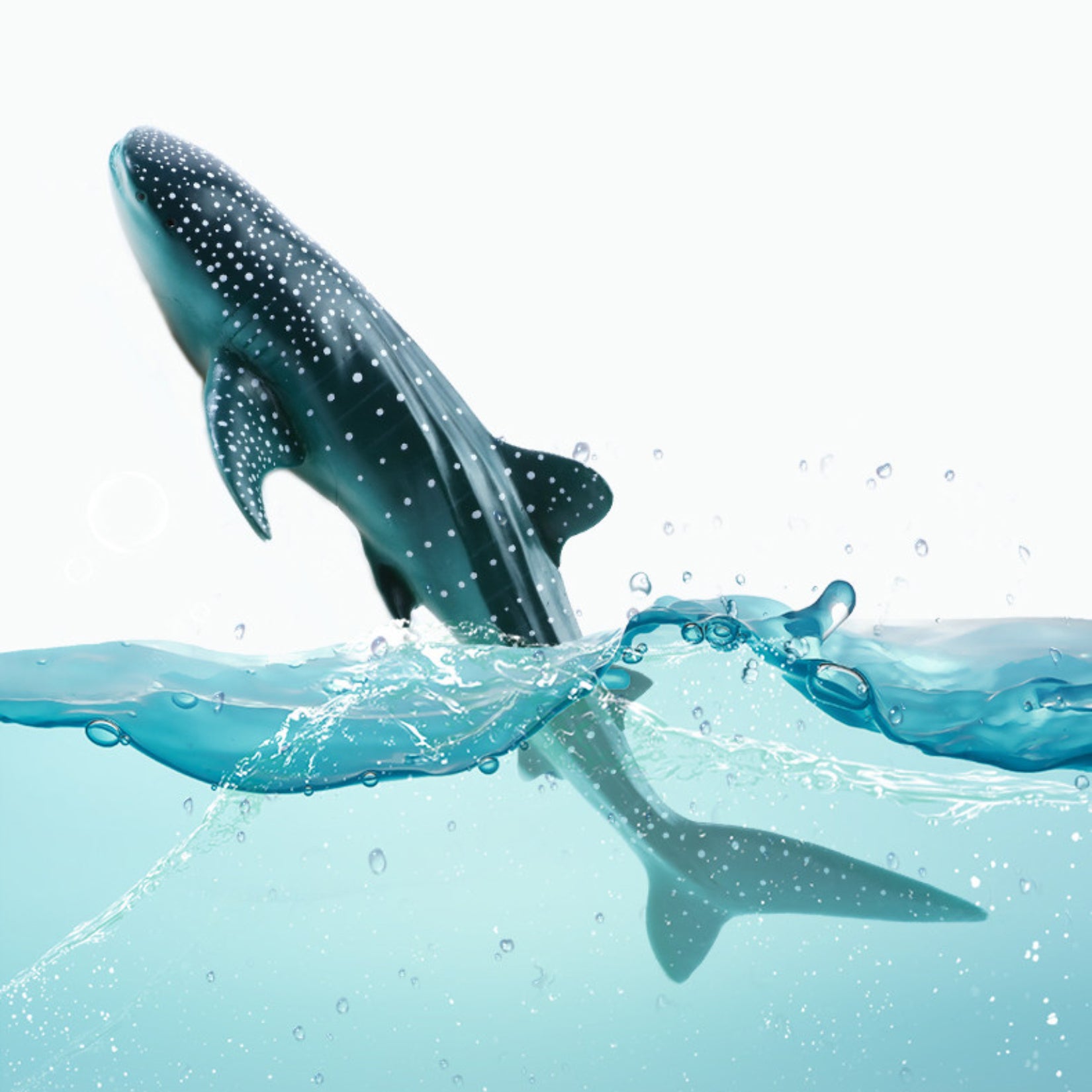 RECUR Whale Shark Model