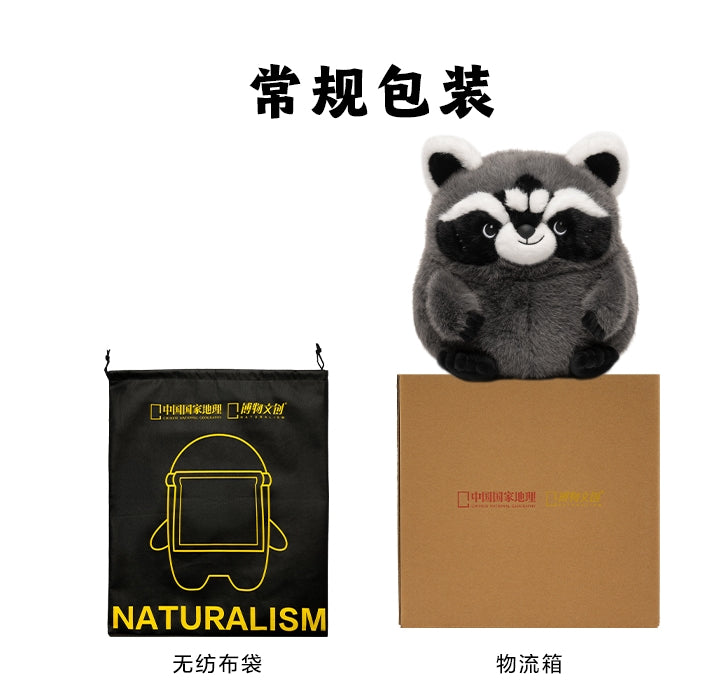 Raccoon Model Soft Animal Figure