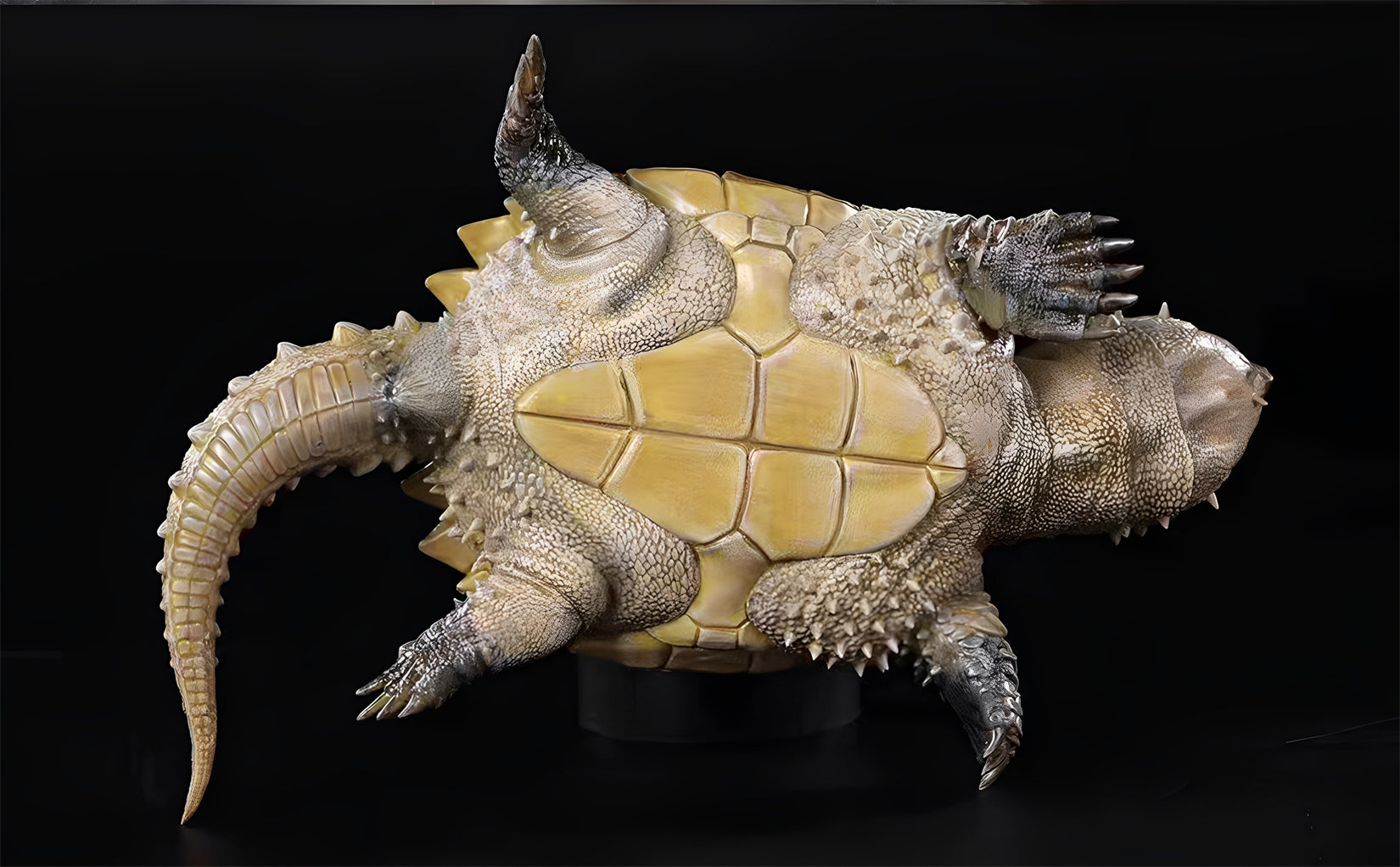 Schildkröten-Serie Tiermodell