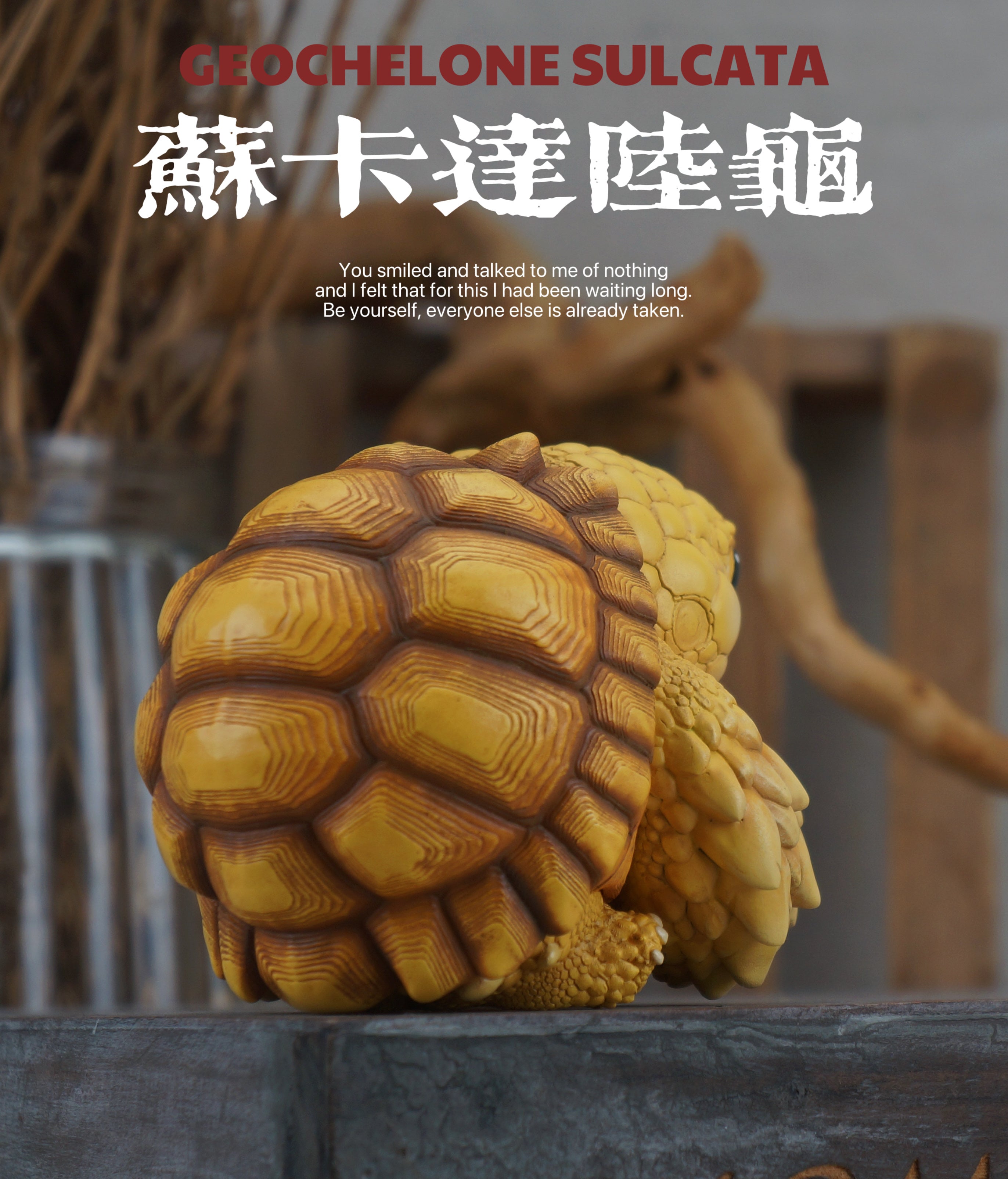 Turtle Model Pet Animal Figure