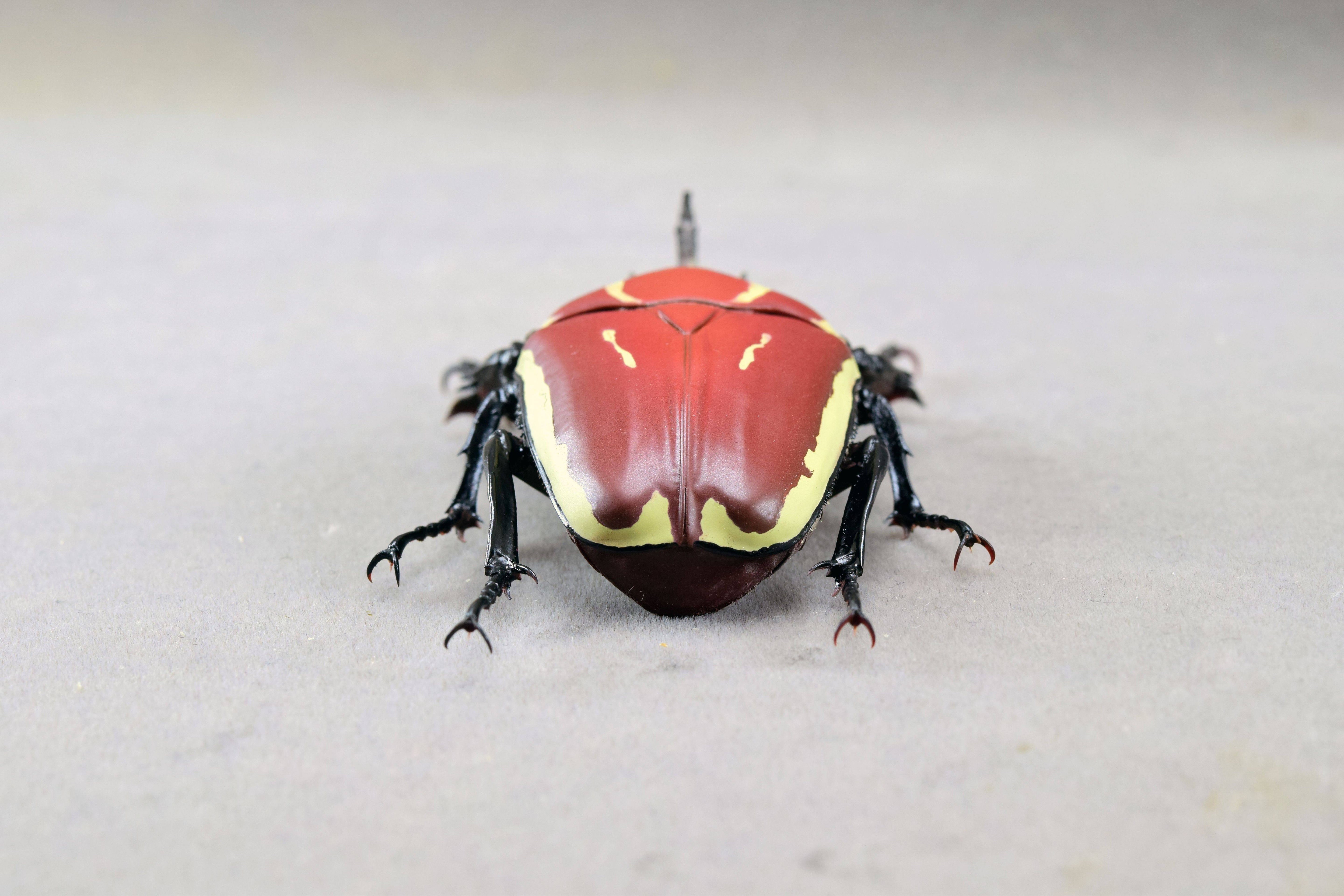 Wunderschöne Chemiepuppe im Maßstab 1:6