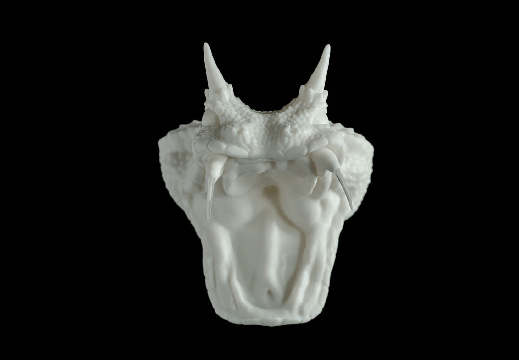 Cerastes Cornutus Snake Model