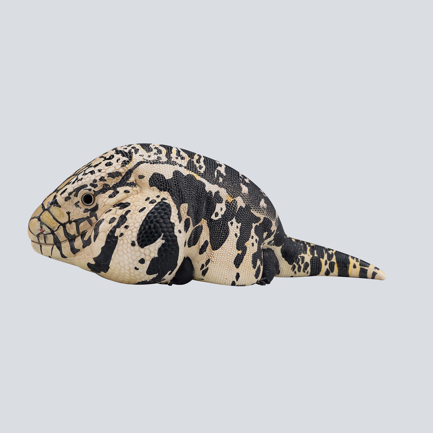 Animal Planet 16 Lizard Blind Box Model
