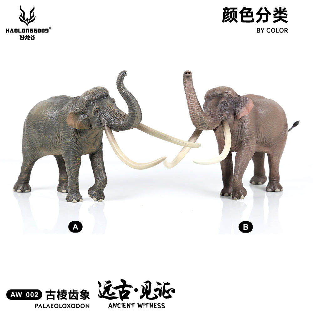 HAOLONGGOOD 1:35 Scale Palaeoloxodon Model