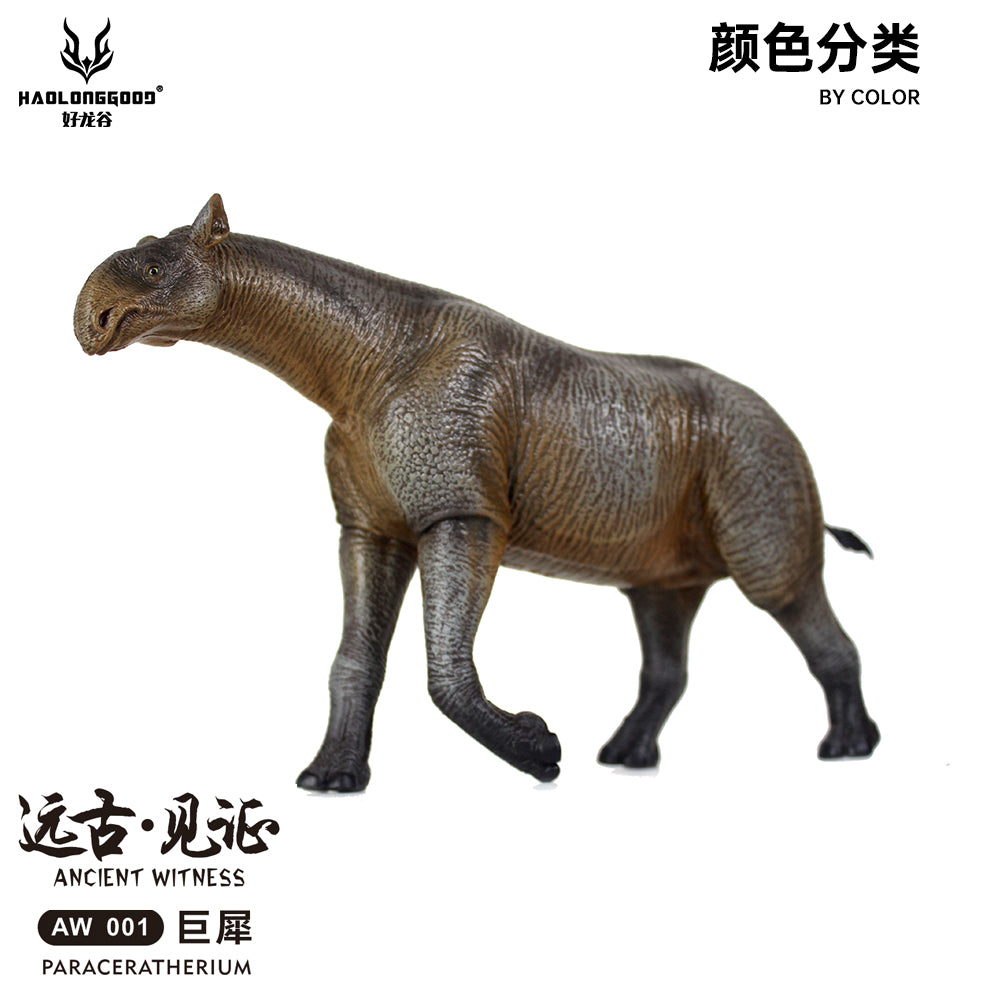 HAOLONGGOOD 1:35 Scale Paraceratherium Model