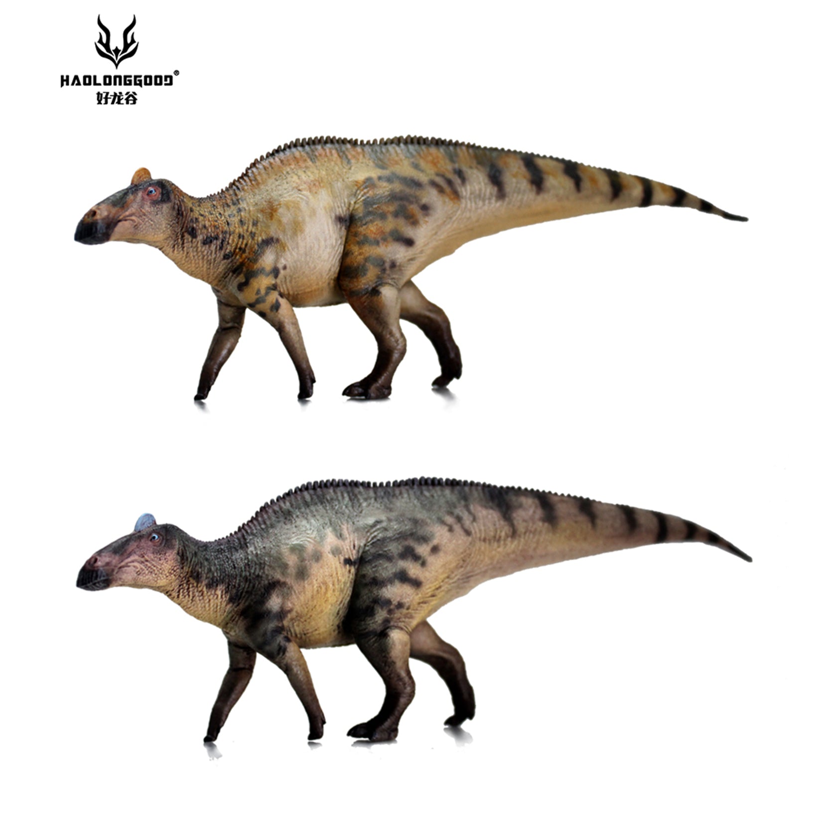 HAOLONGGOOD 1:35 Scale Edmontosaurus Model