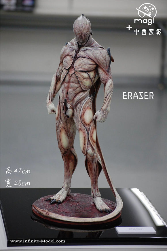 Infinite Model Eraser Figure