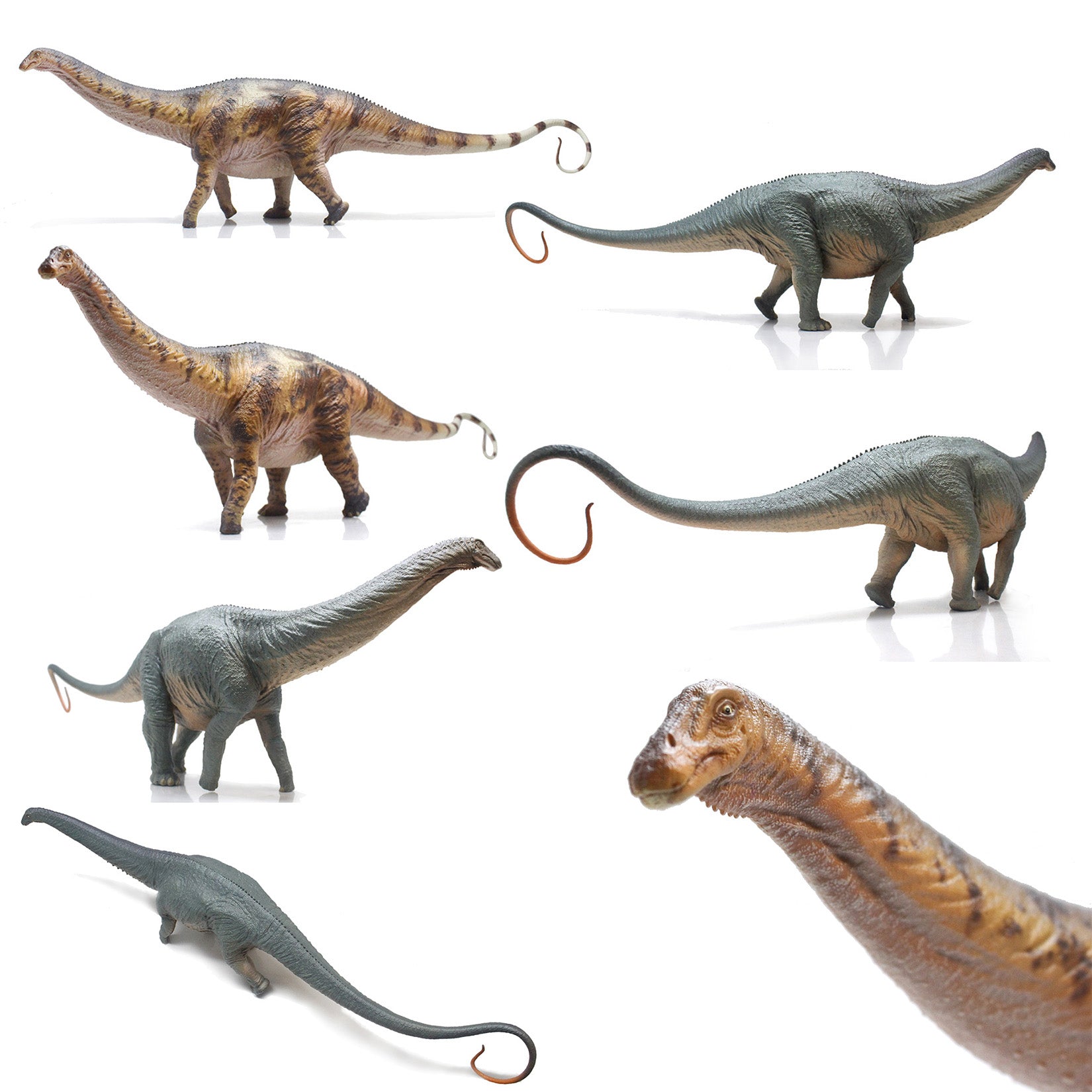 HAOLONGGOOD 1:35 Scale Apatosaurus Model