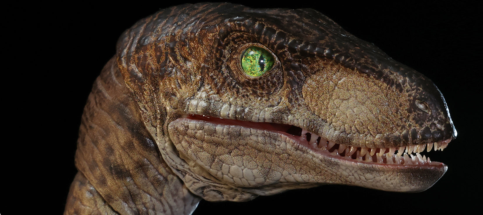 Nanmu Studio Smart Series Raptor 2.5+ Highly Articulated Dinosaur Action Figure