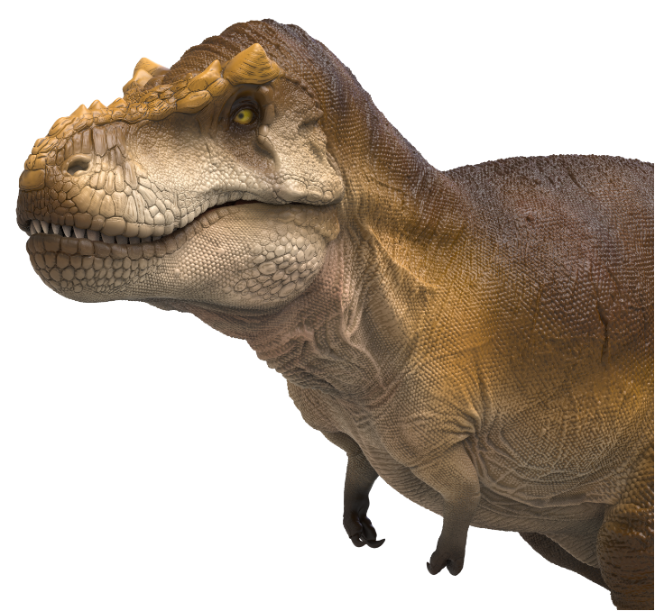 RECUR Brachiosaurus Mosasaurus Triceratops Tyrannosaurus Dimorphodon Model